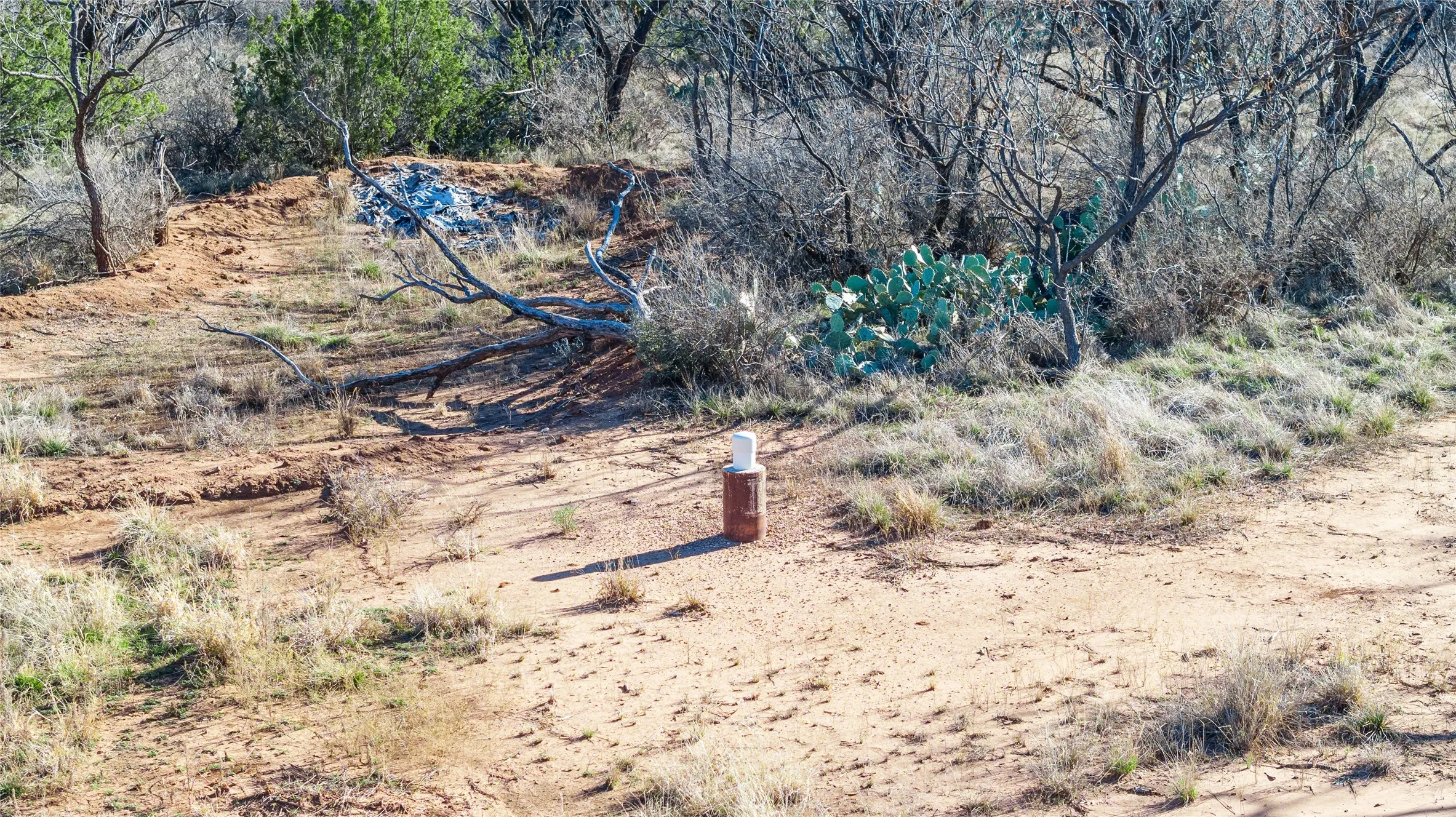 Ranch For Sale in Coke County , 1000 Lometa Road, Bronte, Texas 76933, 0, 0, Garage spaces, 0 Sqft, built in 0, mls#21183076, Real Estate Agent in Bronte, Homes For Sale in Coke county, Homes For Sale in Bronte, Realtor in Bronte Texas, Real Estate Brokerage Independent Realty Texas, Luminita Cordes Realtor