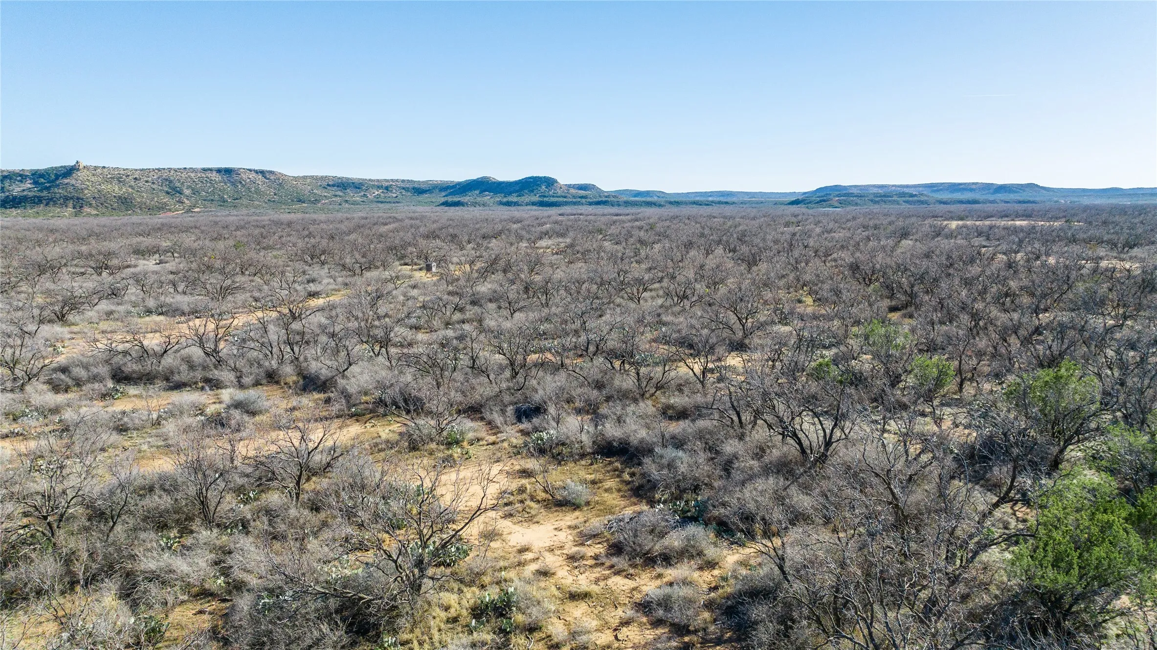 Ranch For Sale in Coke County , 1000 Lometa Road, Bronte, Texas 76933, 0, 0, Garage spaces, 0 Sqft, built in 0, mls#21183076, Real Estate Agent in Bronte, Homes For Sale in Coke county, Homes For Sale in Bronte, Realtor in Bronte Texas, Real Estate Brokerage Independent Realty Texas, Luminita Cordes Realtor