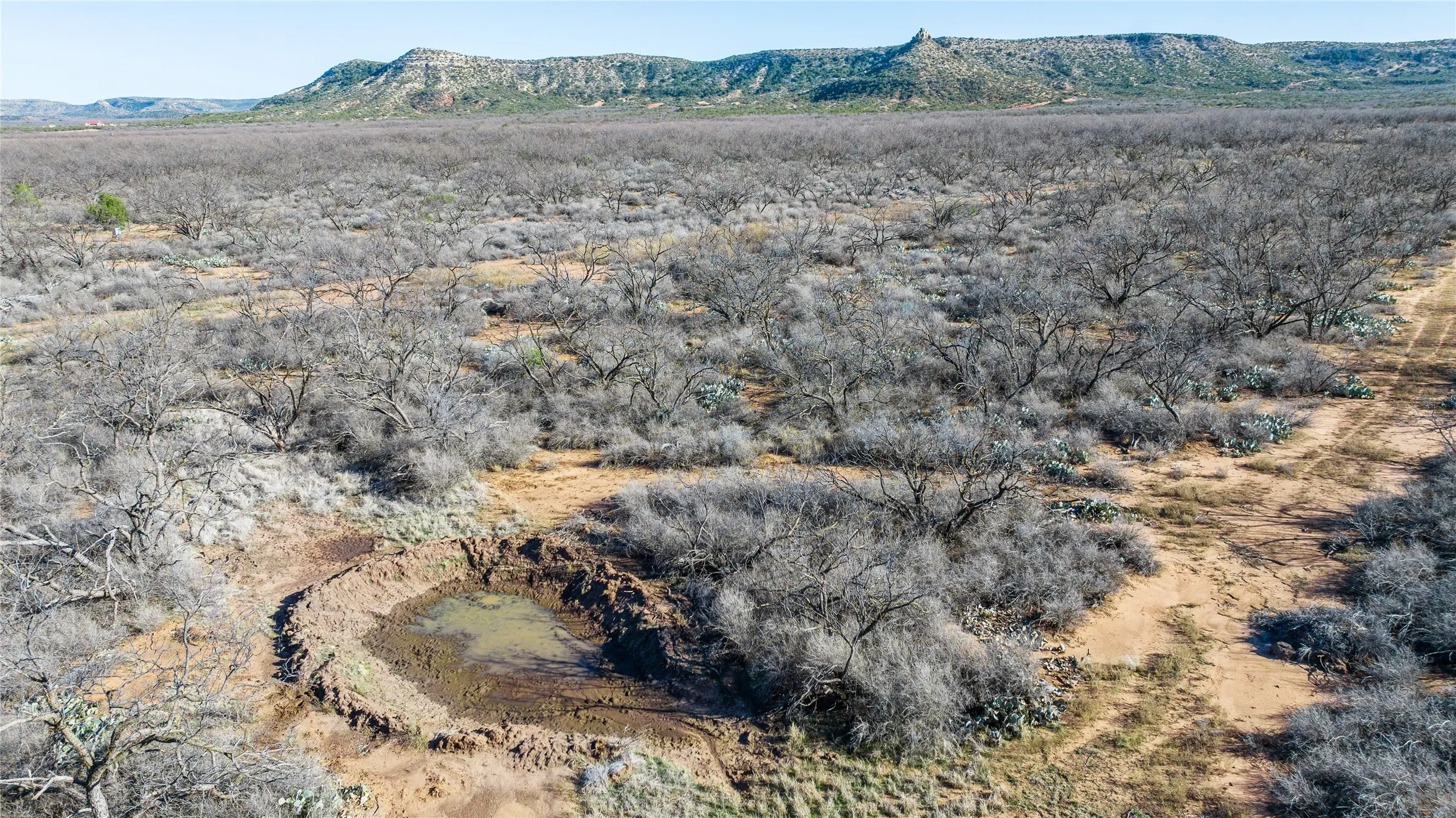 Ranch For Sale in Coke County , 1000 Lometa Road, Bronte, Texas 76933, 0, 0, Garage spaces, 0 Sqft, built in 0, mls#21183076, Real Estate Agent in Bronte, Homes For Sale in Coke county, Homes For Sale in Bronte, Realtor in Bronte Texas, Real Estate Brokerage Independent Realty Texas, Luminita Cordes Realtor