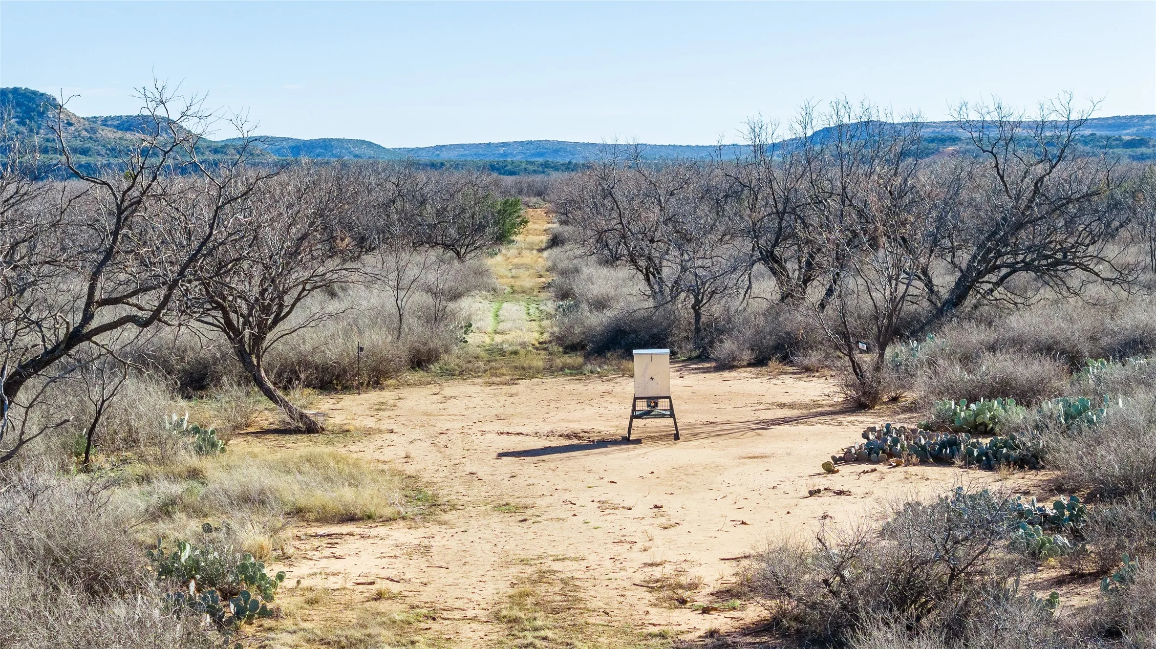 Ranch For Sale in Coke County , 1000 Lometa Road, Bronte, Texas 76933, 0, 0, Garage spaces, 0 Sqft, built in 0, mls#21183076, Real Estate Agent in Bronte, Homes For Sale in Coke county, Homes For Sale in Bronte, Realtor in Bronte Texas, Real Estate Brokerage Independent Realty Texas, Luminita Cordes Realtor