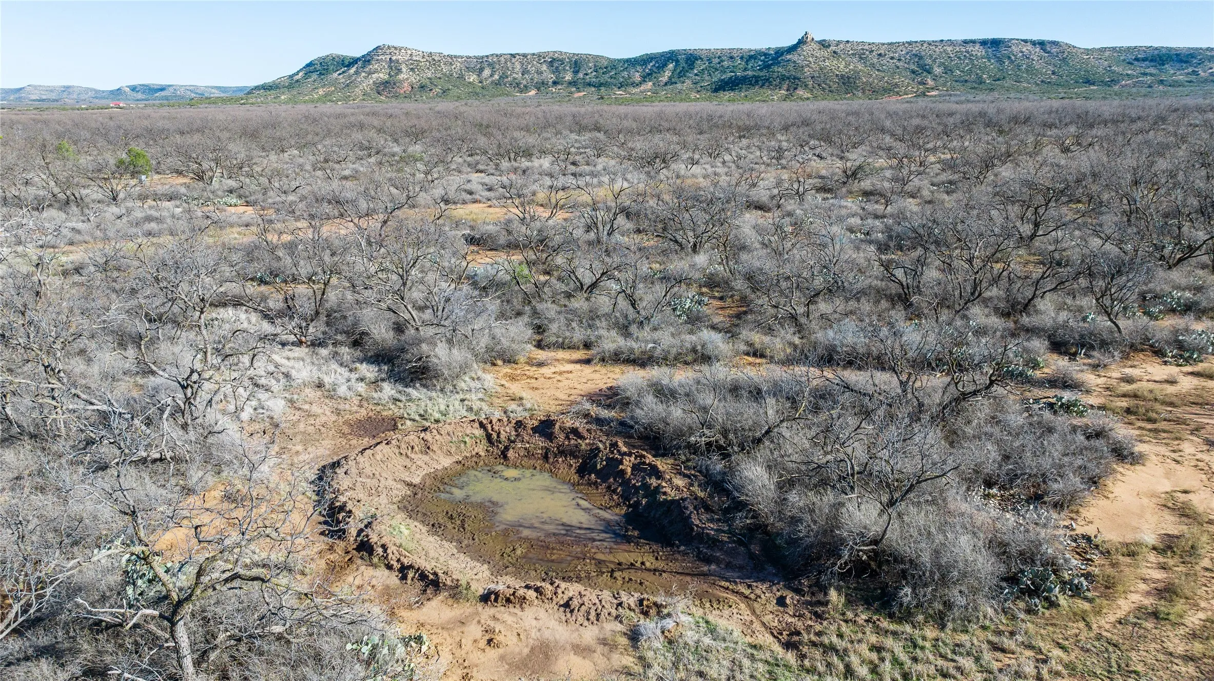 Ranch For Sale in Coke County , 1000 Lometa Road, Bronte, Texas 76933, 0, 0, Garage spaces, 0 Sqft, built in 0, mls#21183076, Real Estate Agent in Bronte, Homes For Sale in Coke county, Homes For Sale in Bronte, Realtor in Bronte Texas, Real Estate Brokerage Independent Realty Texas, Luminita Cordes Realtor