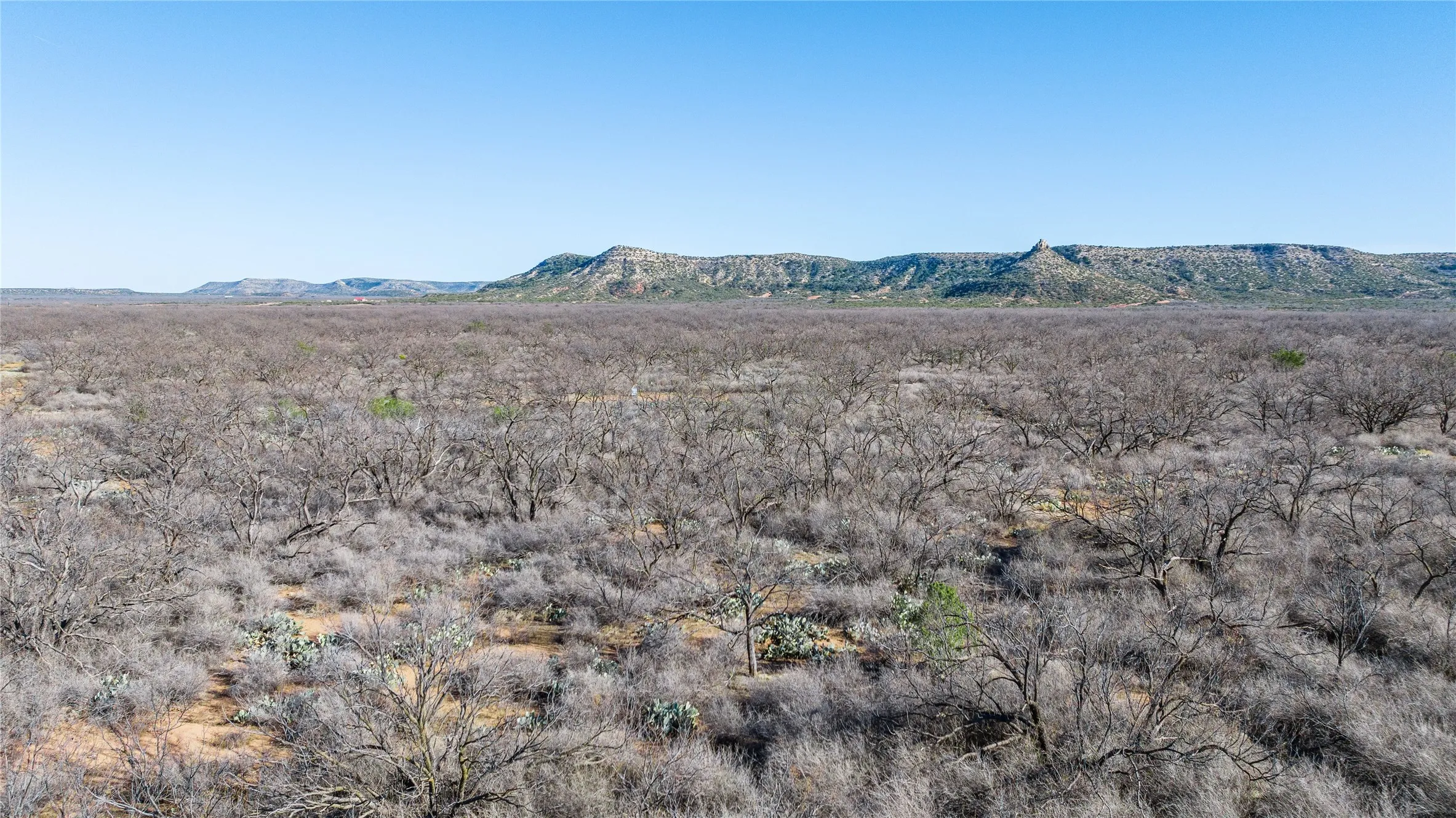 Ranch For Sale in Coke County , 1000 Lometa Road, Bronte, Texas 76933, 0, 0, Garage spaces, 0 Sqft, built in 0, mls#21183076, Real Estate Agent in Bronte, Homes For Sale in Coke county, Homes For Sale in Bronte, Realtor in Bronte Texas, Real Estate Brokerage Independent Realty Texas, Luminita Cordes Realtor