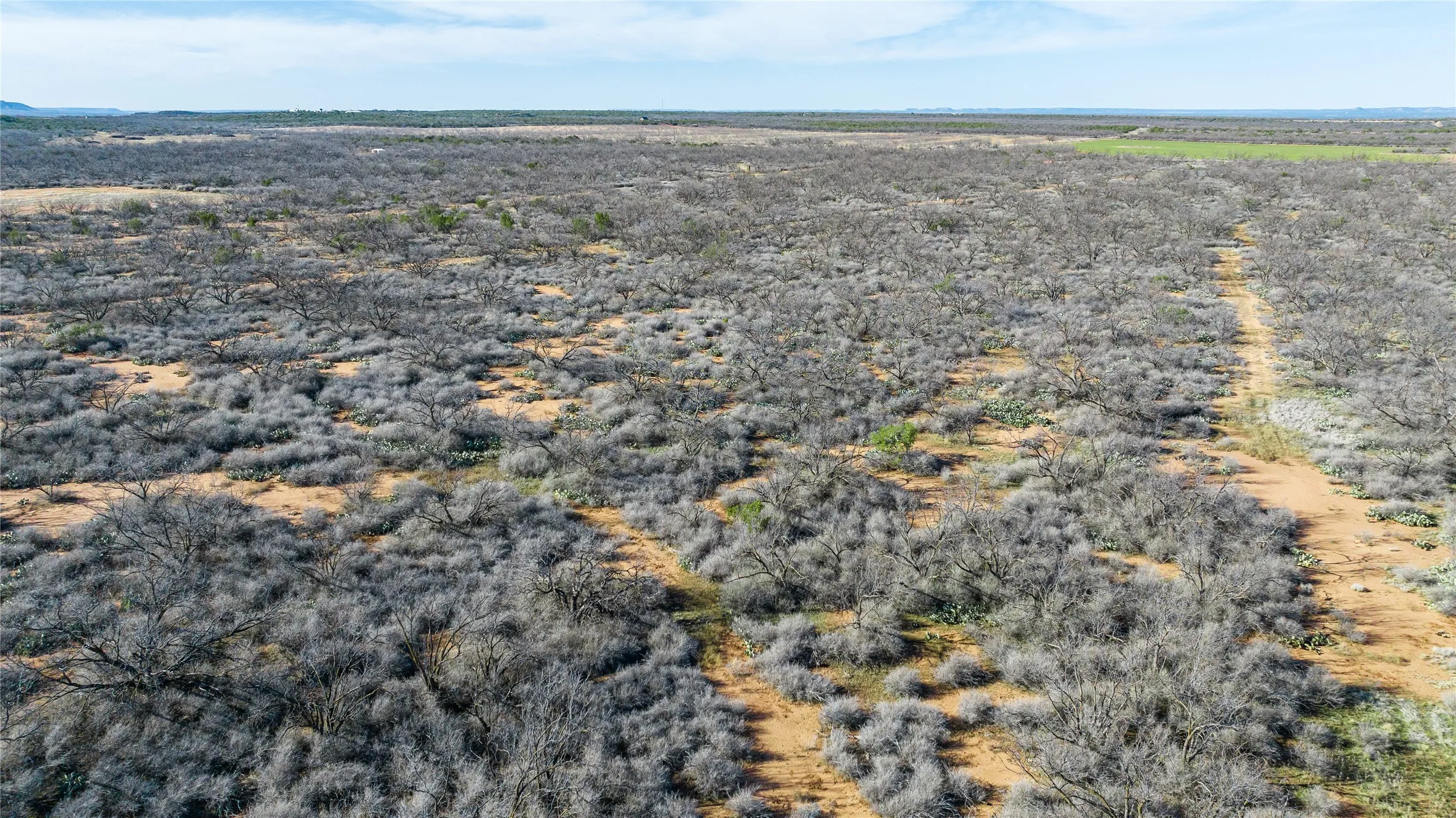Ranch For Sale in Coke County , 1000 Lometa Road, Bronte, Texas 76933, 0, 0, Garage spaces, 0 Sqft, built in 0, mls#21183076, Real Estate Agent in Bronte, Homes For Sale in Coke county, Homes For Sale in Bronte, Realtor in Bronte Texas, Real Estate Brokerage Independent Realty Texas, Luminita Cordes Realtor