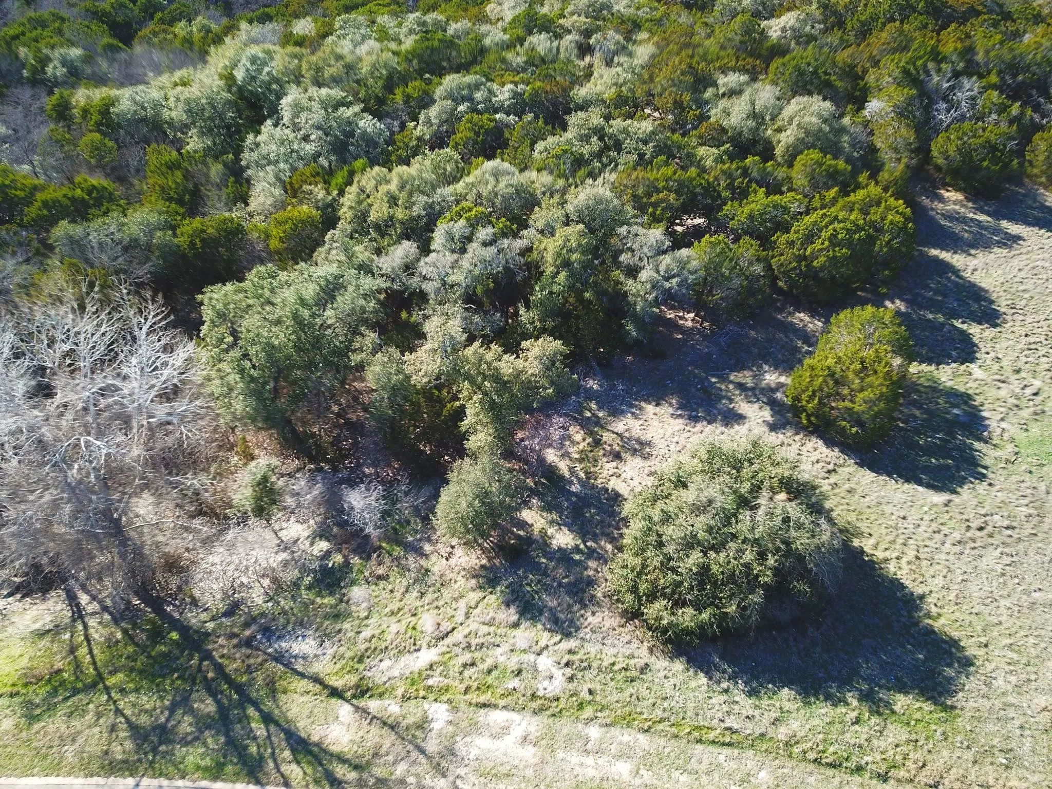 Improved Land For Sale in Johnson County , 8212 Annanhill Lane, Cleburne, Texas 76033, 0, 0, Garage spaces, 0 Sqft, built in 0, Price $35,000, mls#21183172, Real Estate Agent in Cleburne, Homes For Sale in Johnson county, Homes For Sale in Cleburne, Realtor in Cleburne Texas, Real Estate Brokerage Independent Realty Texas, Luminita Cordes Realtor