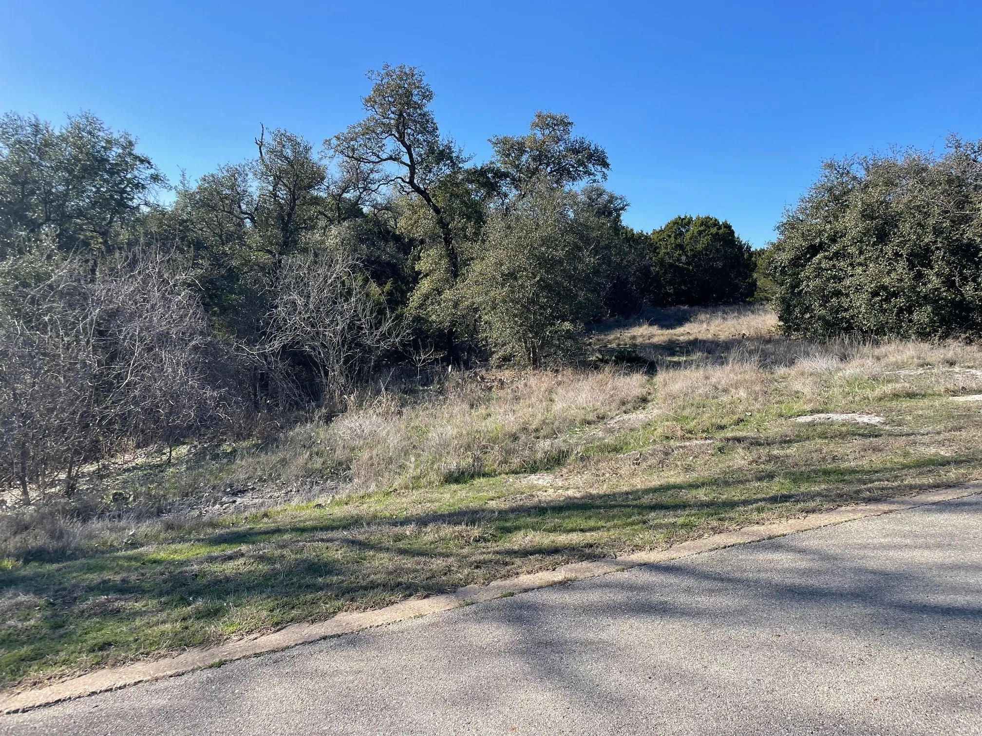 Improved Land For Sale in Johnson County , 8212 Annanhill Lane, Cleburne, Texas 76033, 0, 0, Garage spaces, 0 Sqft, built in 0, Price $35,000, mls#21183172, Real Estate Agent in Cleburne, Homes For Sale in Johnson county, Homes For Sale in Cleburne, Realtor in Cleburne Texas, Real Estate Brokerage Independent Realty Texas, Luminita Cordes Realtor