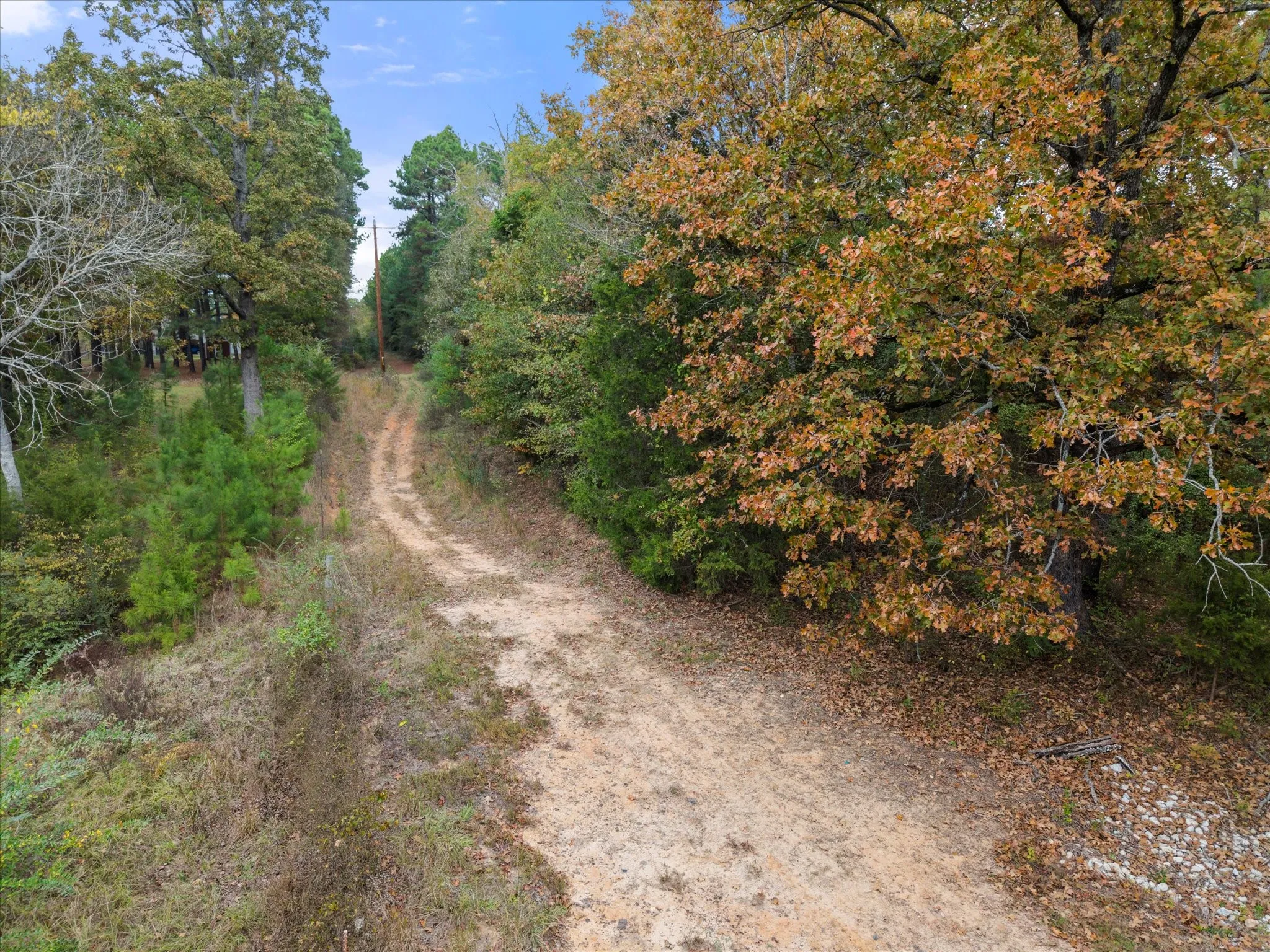 Improved Land For Sale in Morris County , 641 Naples, Omaha, Texas 75571, 0, 0, Garage spaces, 0 Sqft, built in 0, mls#21183169, Real Estate Agent in Omaha, Homes For Sale in Morris county, Homes For Sale in Omaha, Realtor in Omaha Texas, Real Estate Brokerage Independent Realty Texas, Luminita Cordes Realtor