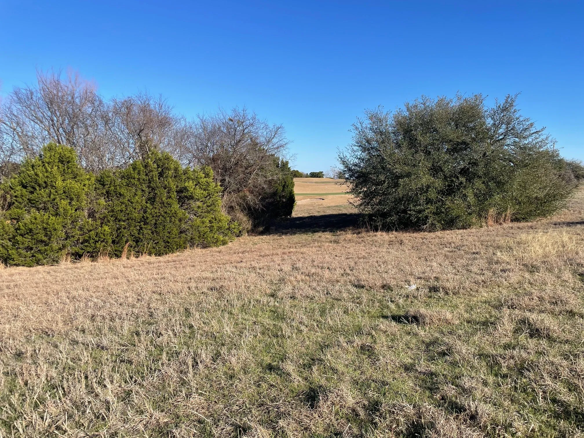 Improved Land For Sale in Johnson County , 7501 Retreat Boulevard, Cleburne, Texas 76033, 0, 0, Garage spaces, 0 Sqft, built in 0, Price $32,000, mls#21183182, Real Estate Agent in Cleburne, Homes For Sale in Johnson county, Homes For Sale in Cleburne, Realtor in Cleburne Texas, Real Estate Brokerage Independent Realty Texas, Luminita Cordes Realtor