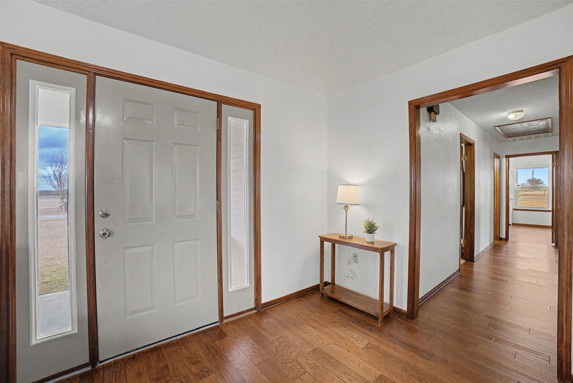 Front door and hallway