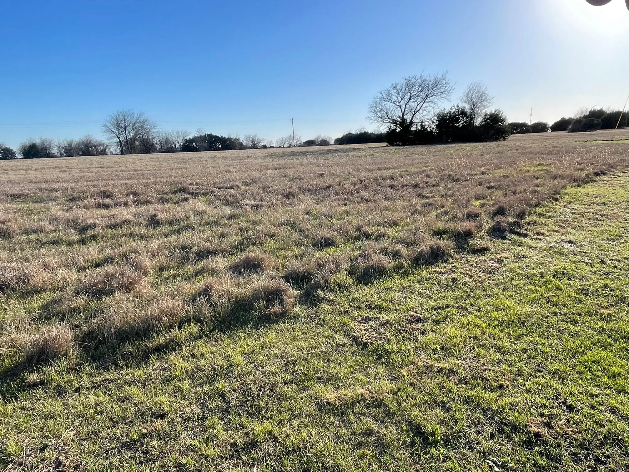 Improved Land For Sale in Johnson County , 7402 St Augustines Drive, Cleburne, Texas 76033, 0, 0, Garage spaces, 0 Sqft, built in 0, Price $15,000, mls#21183211, Real Estate Agent in Cleburne, Homes For Sale in Johnson county, Homes For Sale in Cleburne, Realtor in Cleburne Texas, Real Estate Brokerage Independent Realty Texas, Luminita Cordes Realtor