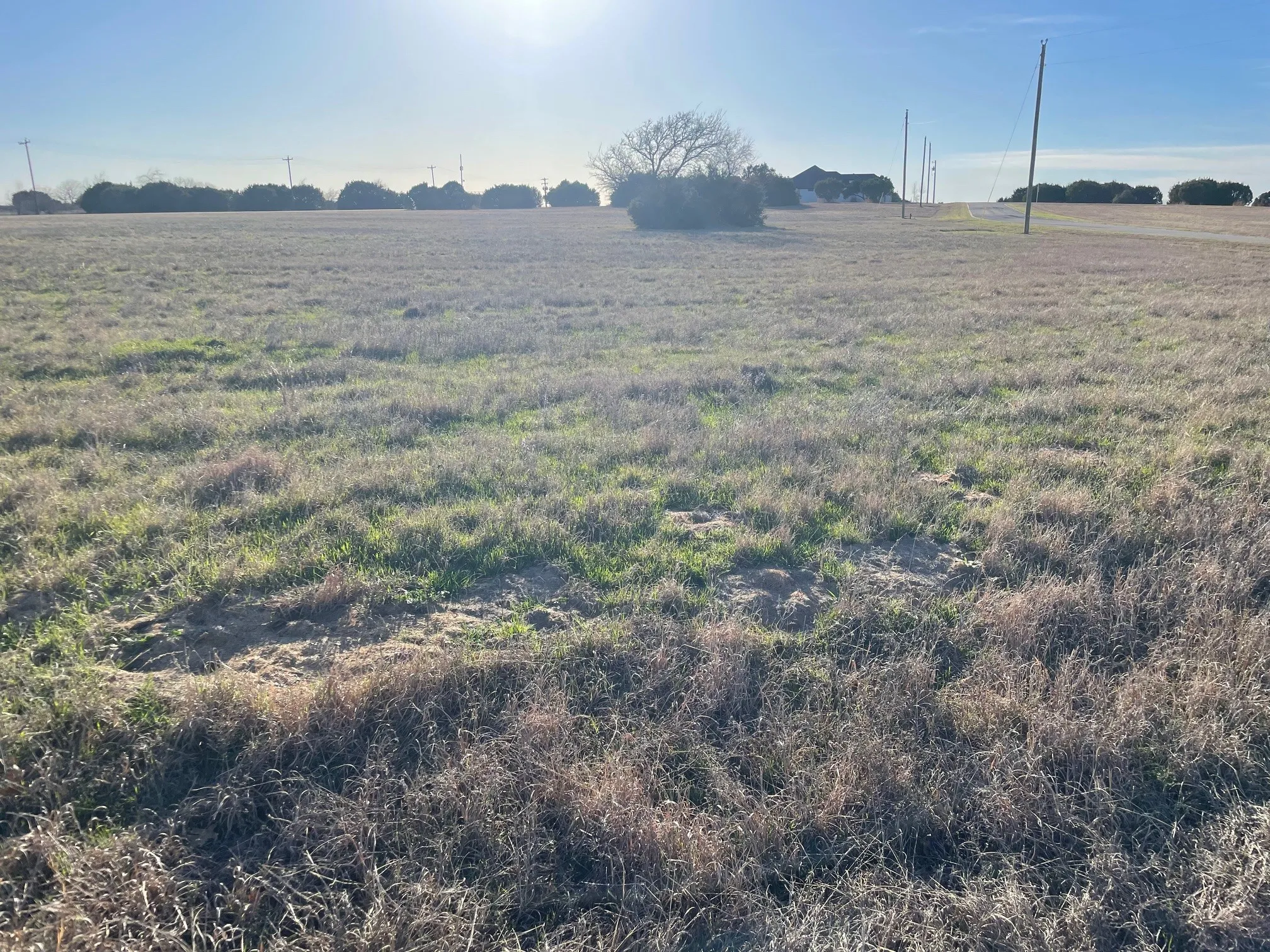 Improved Land For Sale in Johnson County , 7402 St Augustines Drive, Cleburne, Texas 76033, 0, 0, Garage spaces, 0 Sqft, built in 0, Price $15,000, mls#21183211, Real Estate Agent in Cleburne, Homes For Sale in Johnson county, Homes For Sale in Cleburne, Realtor in Cleburne Texas, Real Estate Brokerage Independent Realty Texas, Luminita Cordes Realtor