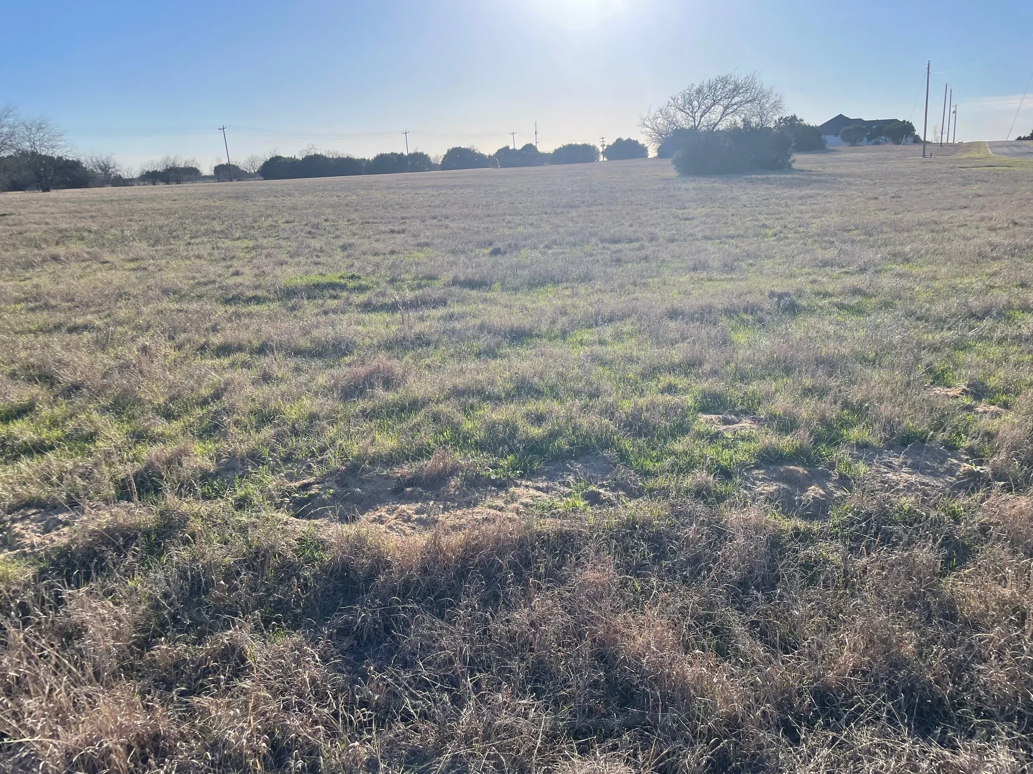 Improved Land For Sale in Johnson County , 7402 St Augustines Drive, Cleburne, Texas 76033, 0, 0, Garage spaces, 0 Sqft, built in 0, Price $15,000, mls#21183211, Real Estate Agent in Cleburne, Homes For Sale in Johnson county, Homes For Sale in Cleburne, Realtor in Cleburne Texas, Real Estate Brokerage Independent Realty Texas, Luminita Cordes Realtor