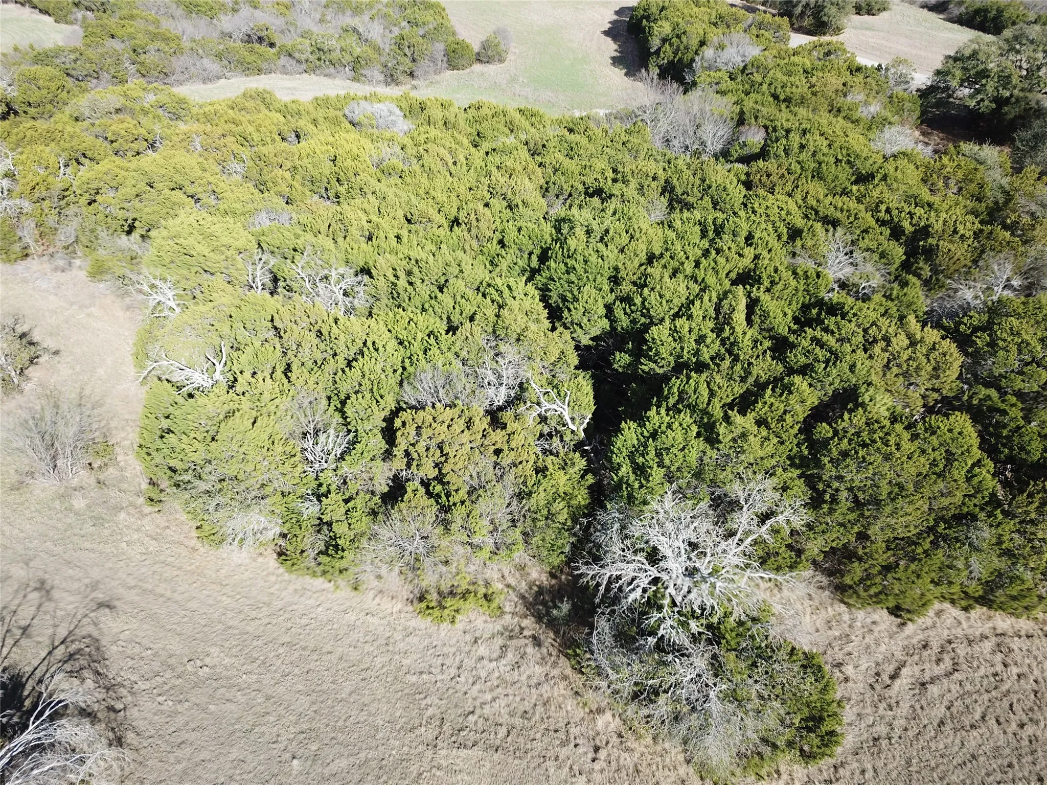 Improved Land For Sale in Johnson County , 8333 Fullerton Drive, Cleburne, Texas 76033, 0, 0, Garage spaces, 0 Sqft, built in 0, mls#21183230, Real Estate Agent in Cleburne, Homes For Sale in Johnson county, Homes For Sale in Cleburne, Realtor in Cleburne Texas, Real Estate Brokerage Independent Realty Texas, Luminita Cordes Realtor