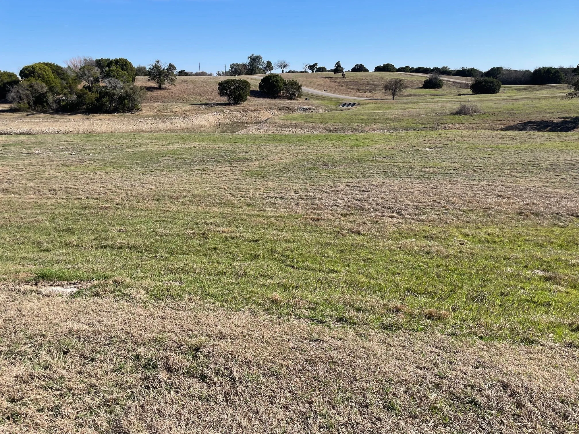 Improved Land For Sale in Johnson County , 6328 Berkshire Circle, Cleburne, Texas 76033, 0, 0, Garage spaces, 0 Sqft, built in 0, mls#21183239, Real Estate Agent in Cleburne, Homes For Sale in Johnson county, Homes For Sale in Cleburne, Realtor in Cleburne Texas, Real Estate Brokerage Independent Realty Texas, Luminita Cordes Realtor