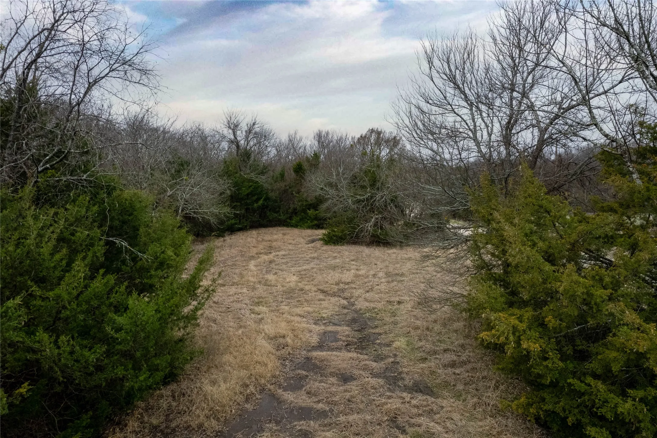 View of undeveloped land