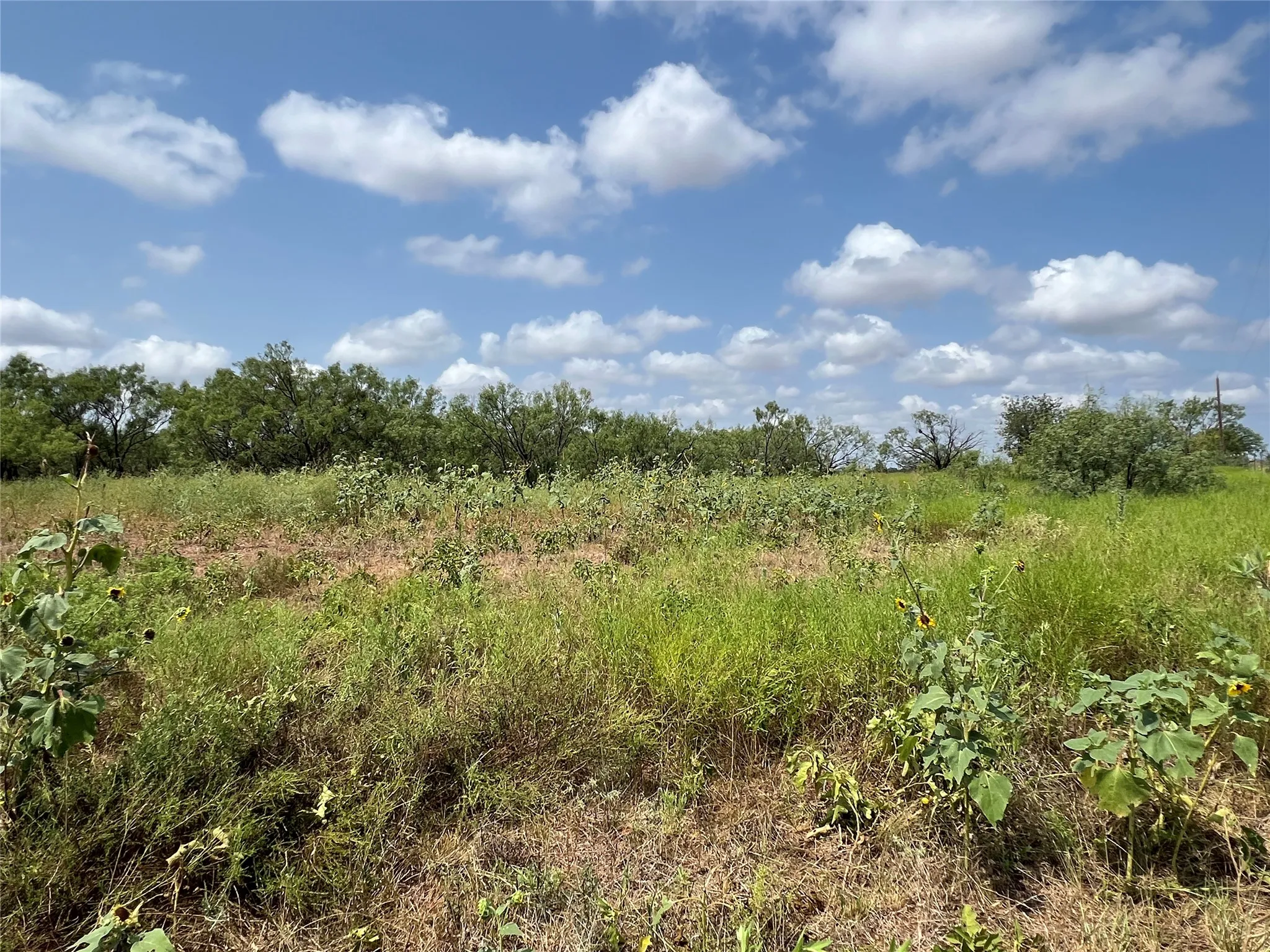 Unimproved Land For Sale in Taylor County , TBD FM 614, Ovalo, Texas 79541, 0, 0, Garage spaces, 0 Sqft, built in 0, Price $109,375, mls#21183380, Real Estate Agent in Ovalo, Homes For Sale in Taylor county, Homes For Sale in Ovalo, Realtor in Ovalo Texas, Real Estate Brokerage Independent Realty Texas, Luminita Cordes Realtor