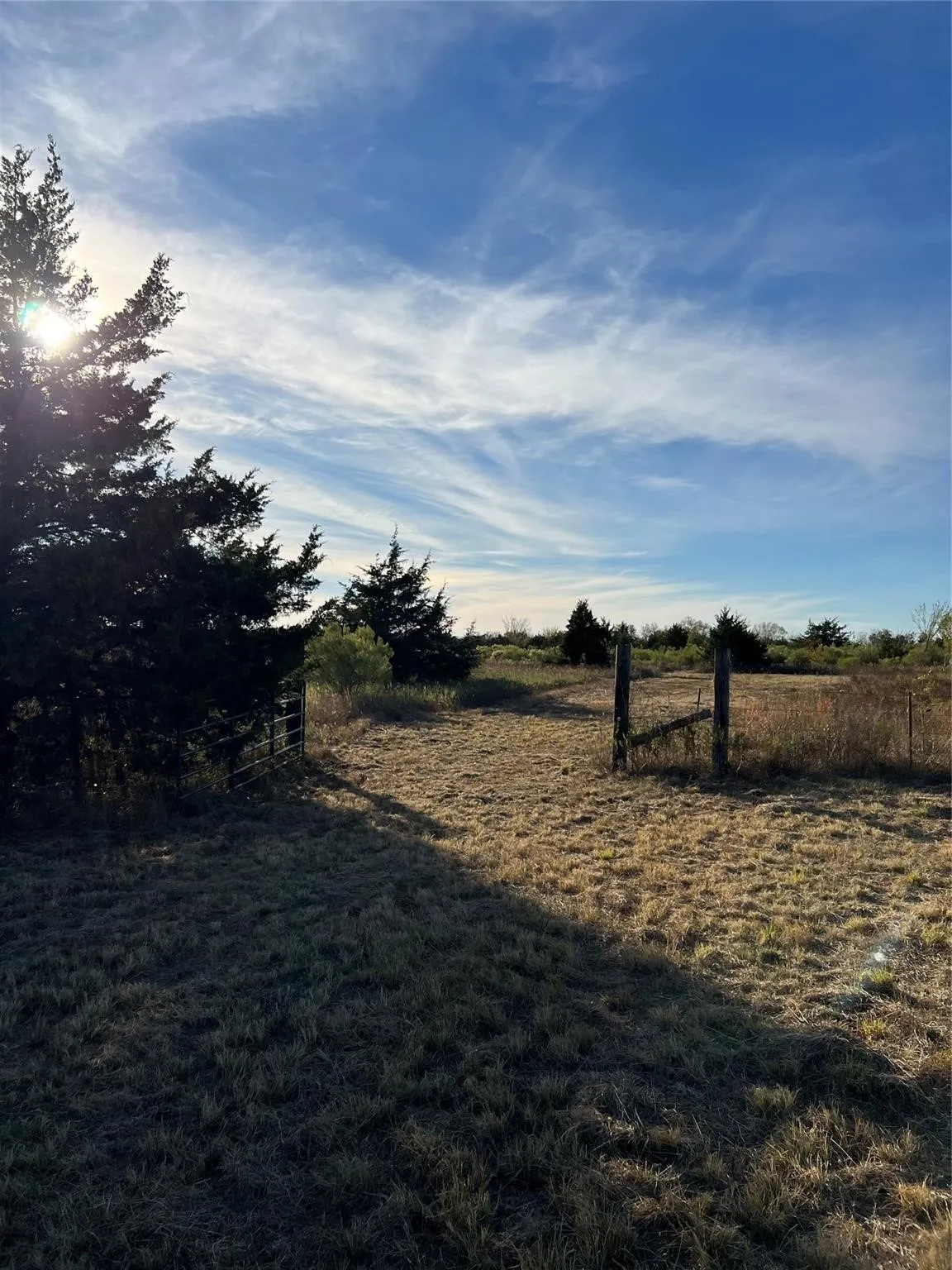 Unimproved Land For Sale in Delta County , 2585 CR 2130, Cooper, Texas 75432, 0, 0, Garage spaces, 0 Sqft, built in 0, mls#21183411, Real Estate Agent in Cooper, Homes For Sale in Delta county, Homes For Sale in Cooper, Realtor in Cooper Texas, Real Estate Brokerage Independent Realty Texas, Luminita Cordes Realtor