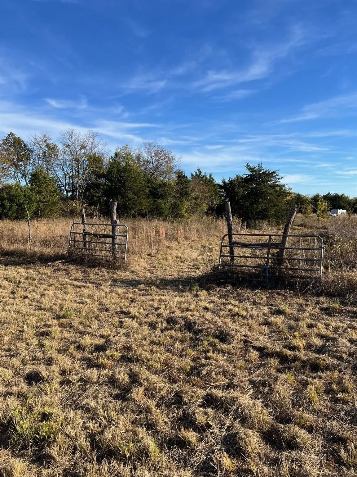 Unimproved Land For Sale in Delta County , 2585 CR 2130, Cooper, Texas 75432, 0, 0, Garage spaces, 0 Sqft, built in 0, mls#21183411, Real Estate Agent in Cooper, Homes For Sale in Delta county, Homes For Sale in Cooper, Realtor in Cooper Texas, Real Estate Brokerage Independent Realty Texas, Luminita Cordes Realtor
