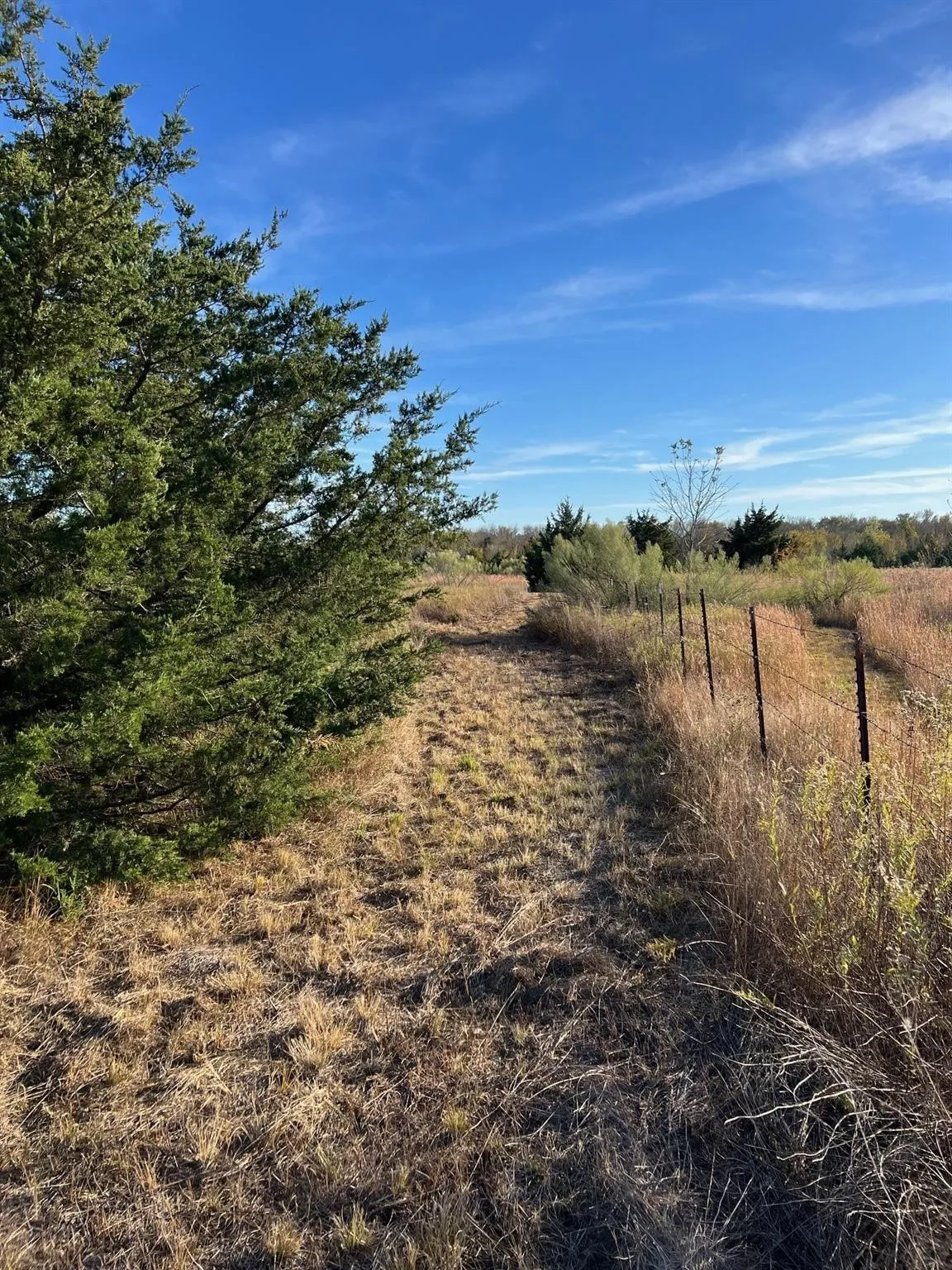 Unimproved Land For Sale in Delta County , 2585 CR 2130, Cooper, Texas 75432, 0, 0, Garage spaces, 0 Sqft, built in 0, mls#21183411, Real Estate Agent in Cooper, Homes For Sale in Delta county, Homes For Sale in Cooper, Realtor in Cooper Texas, Real Estate Brokerage Independent Realty Texas, Luminita Cordes Realtor
