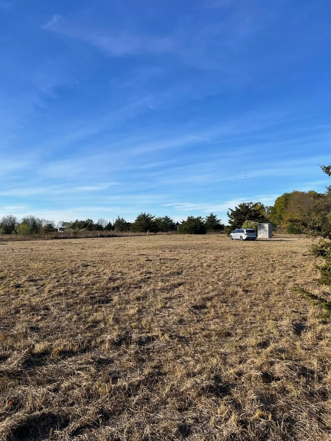 Unimproved Land For Sale in Delta County , 2585 CR 2130, Cooper, Texas 75432, 0, 0, Garage spaces, 0 Sqft, built in 0, mls#21183411, Real Estate Agent in Cooper, Homes For Sale in Delta county, Homes For Sale in Cooper, Realtor in Cooper Texas, Real Estate Brokerage Independent Realty Texas, Luminita Cordes Realtor