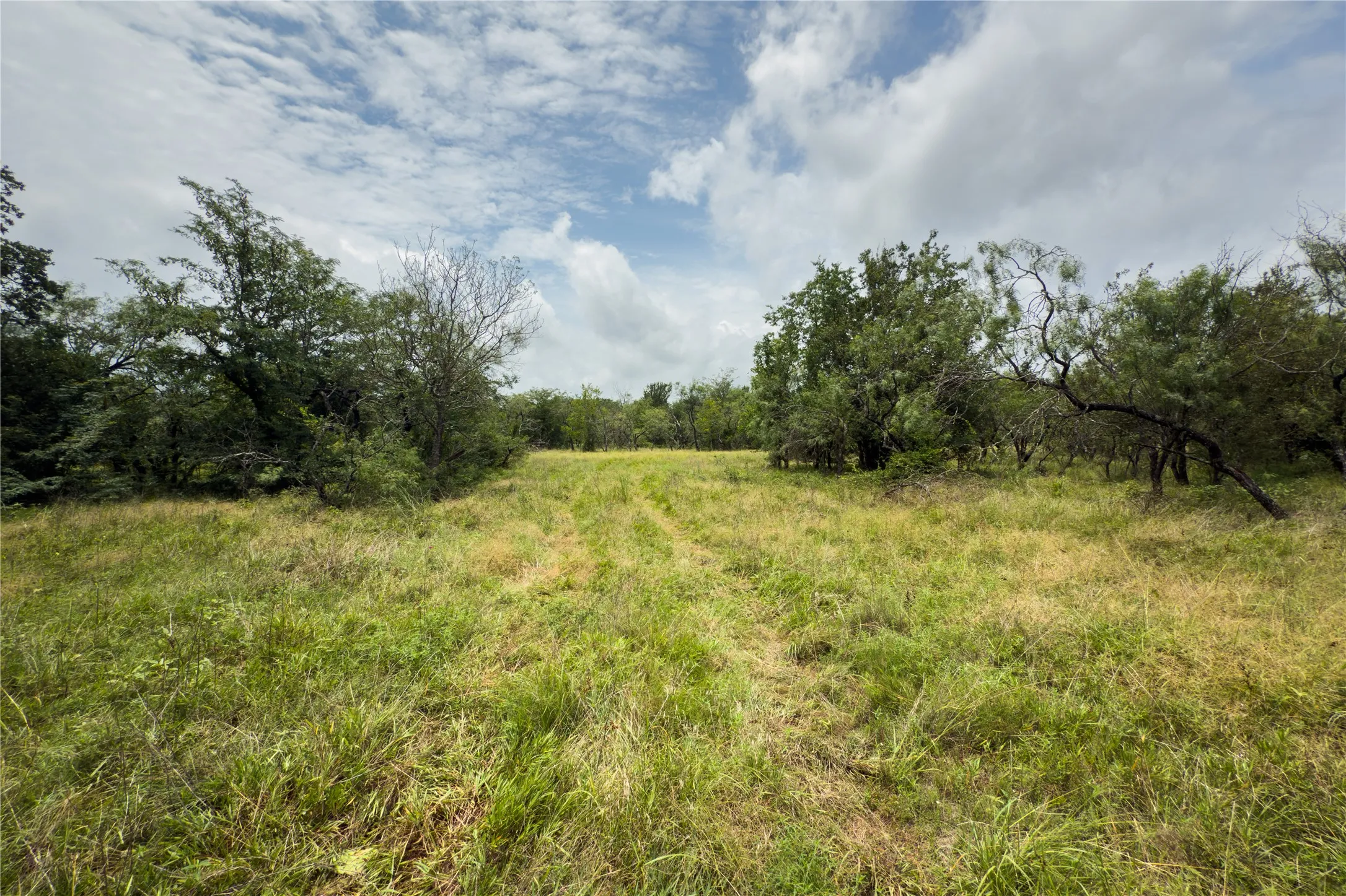 View of local wilderness