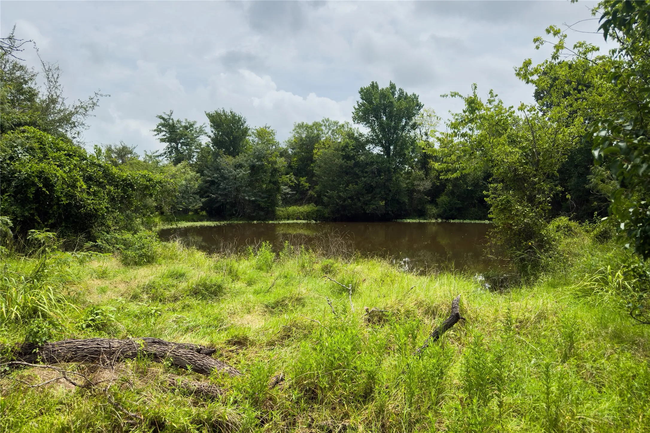 View of woods with a water view