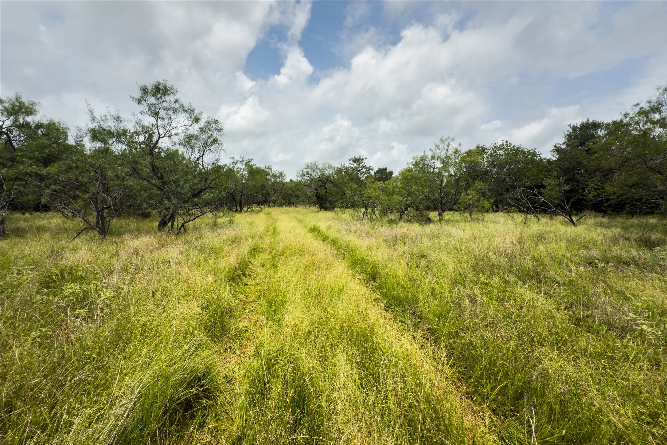 View of nature with rural landscape