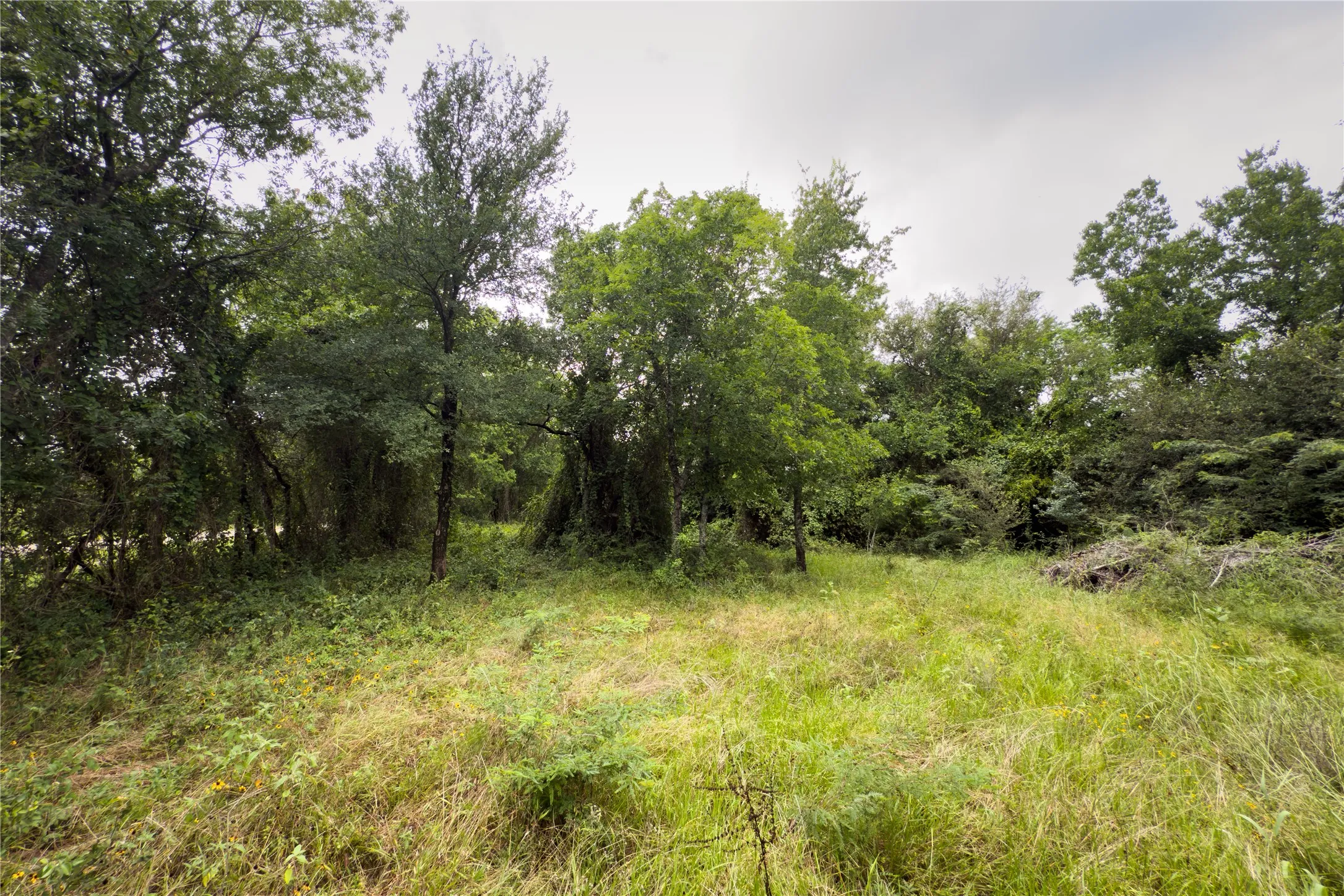 View of undeveloped land