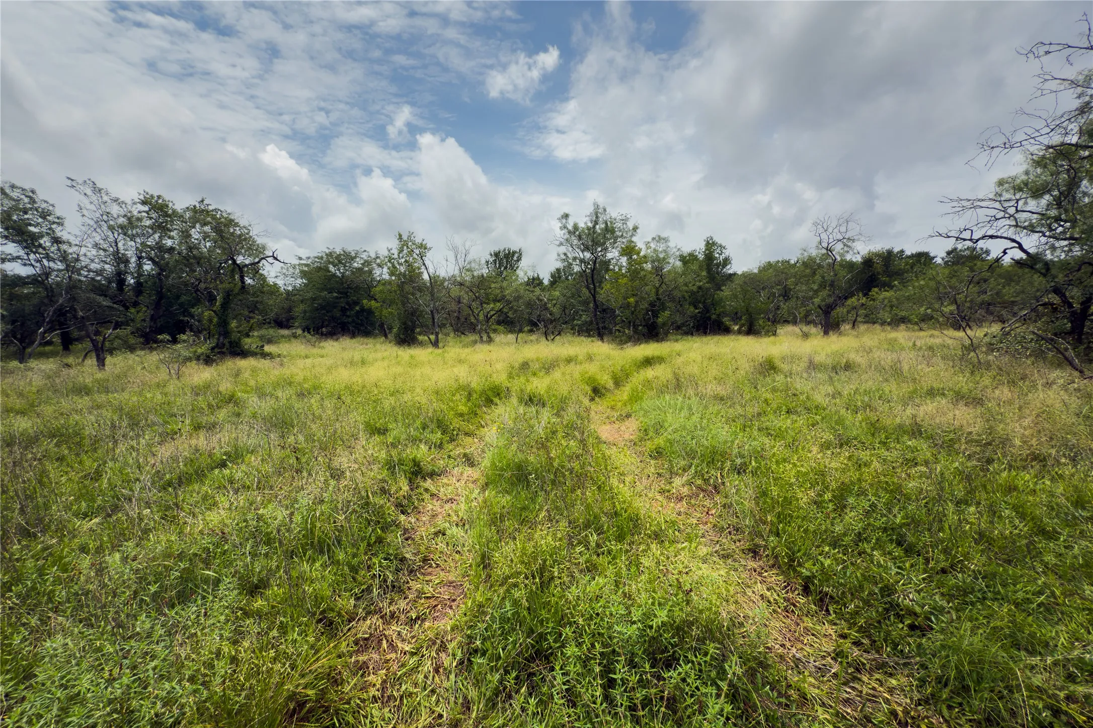 View of local wilderness featuring rural landscape