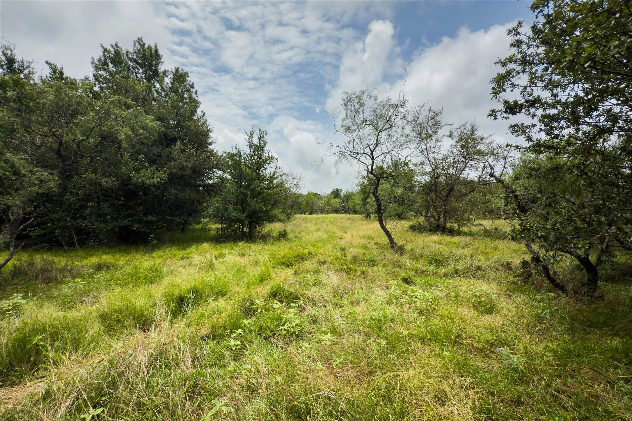 View of undeveloped land