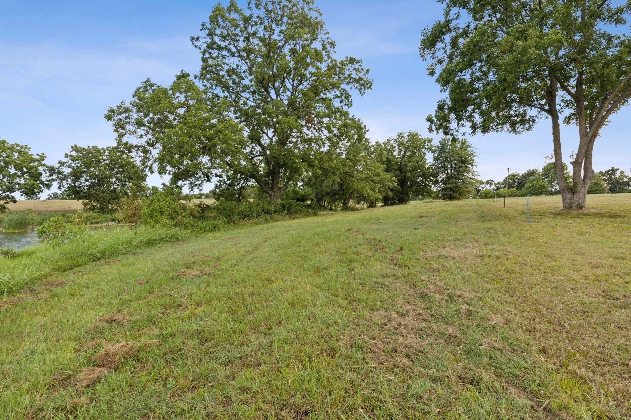 Unimproved Land For Sale in Navarro County , L 4 SE County Road 3190, Corsicana, Texas 75109, 0, 0, Garage spaces, 0 Sqft, built in 0, mls#21183479, Real Estate Agent in Corsicana, Homes For Sale in Navarro county, Homes For Sale in Corsicana, Realtor in Corsicana Texas, Real Estate Brokerage Independent Realty Texas, Luminita Cordes Realtor