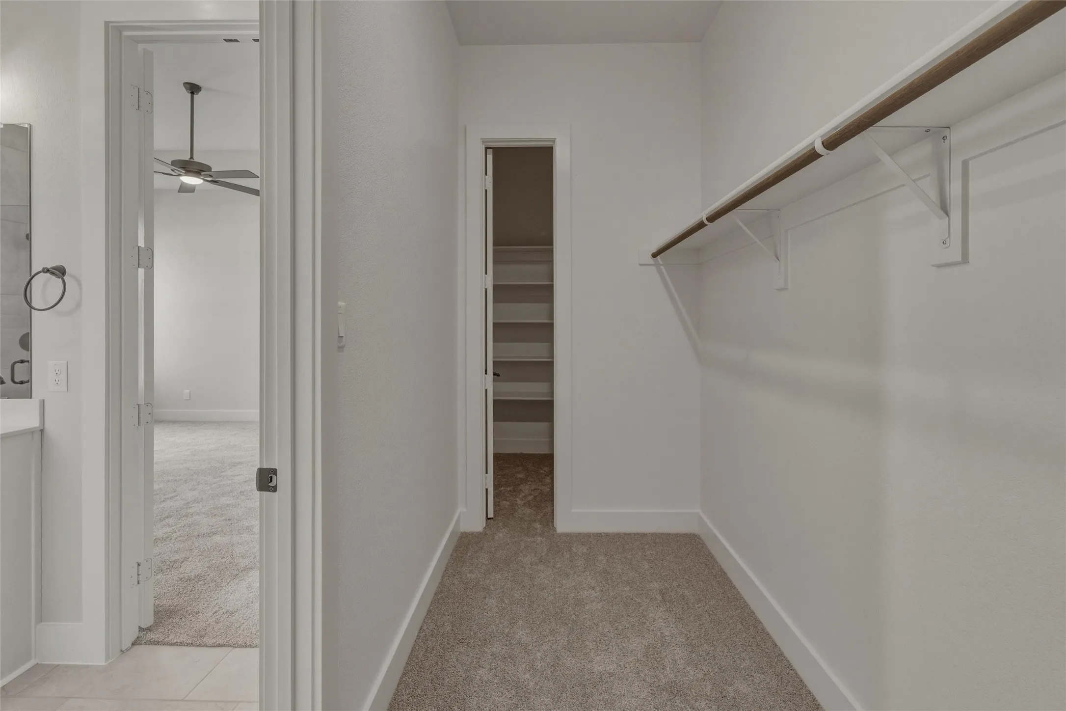 Walk-in closet featuring a single hanging rod, upper shelf, and neutral carpet