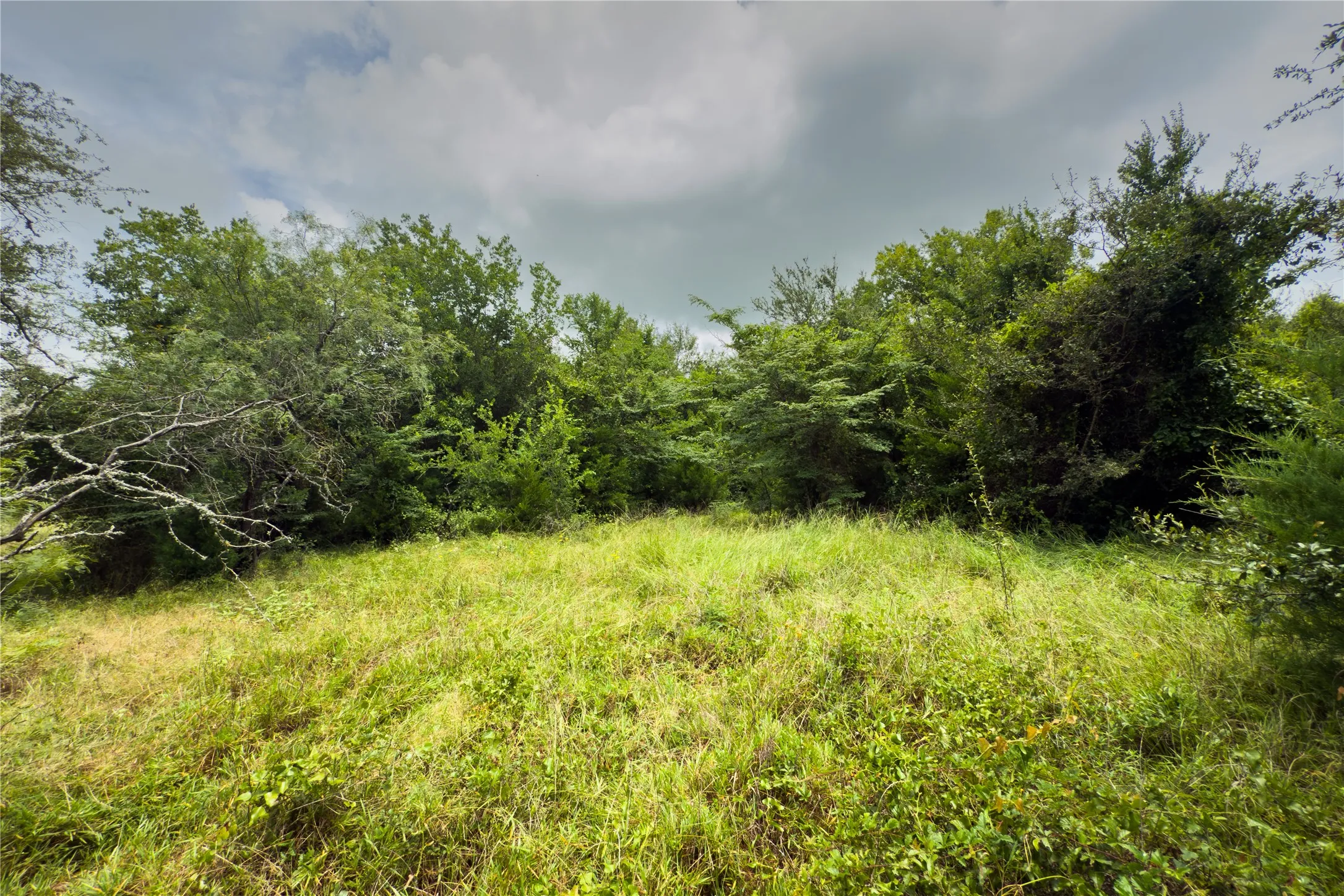View of undeveloped land