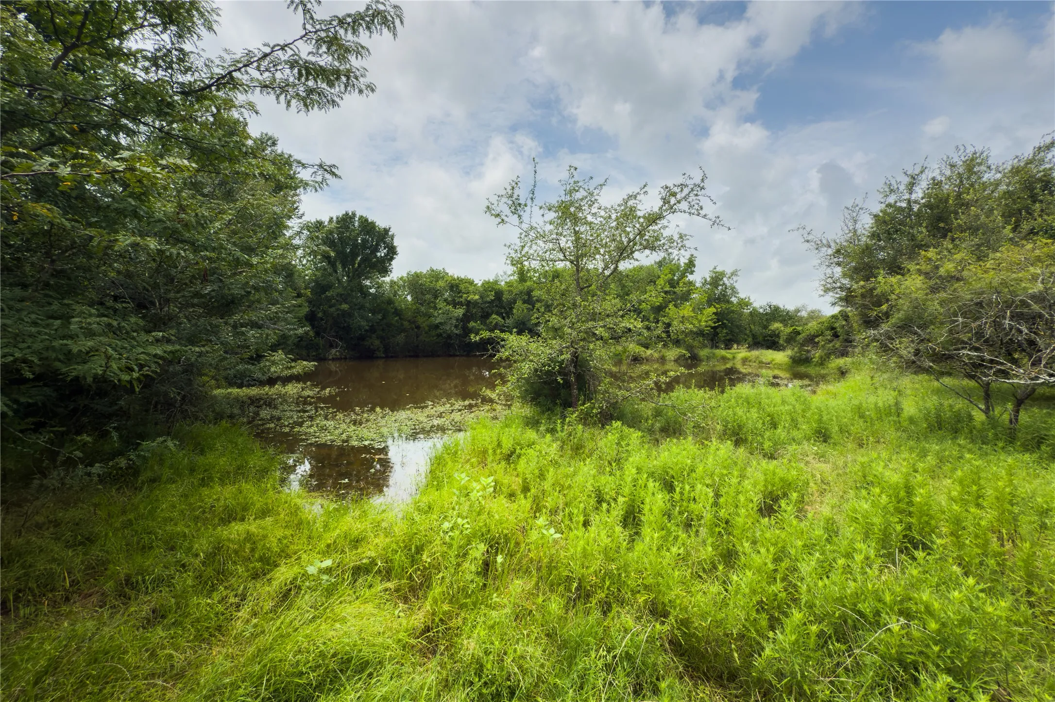 Water view with a heavily wooded area