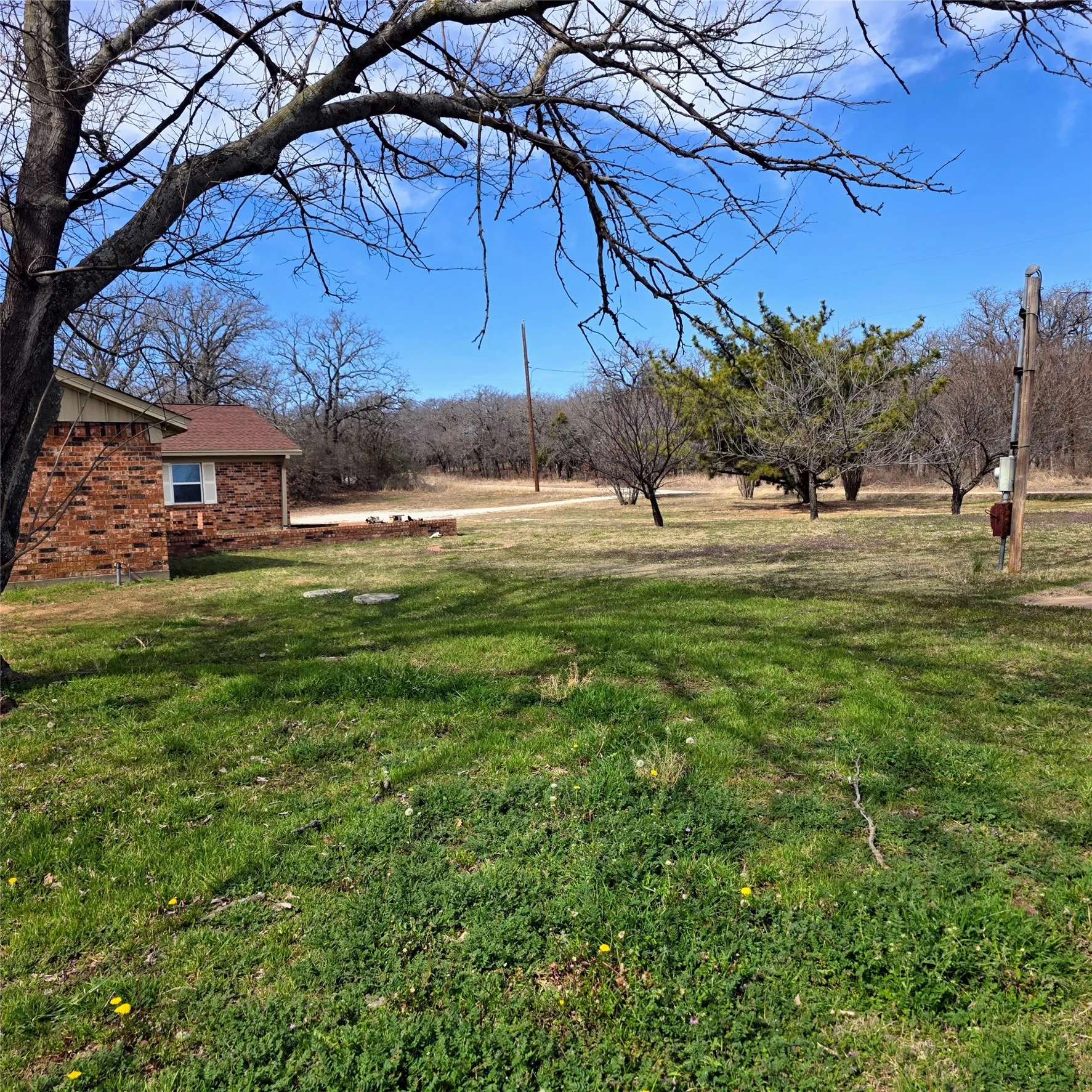 View of grassy yard