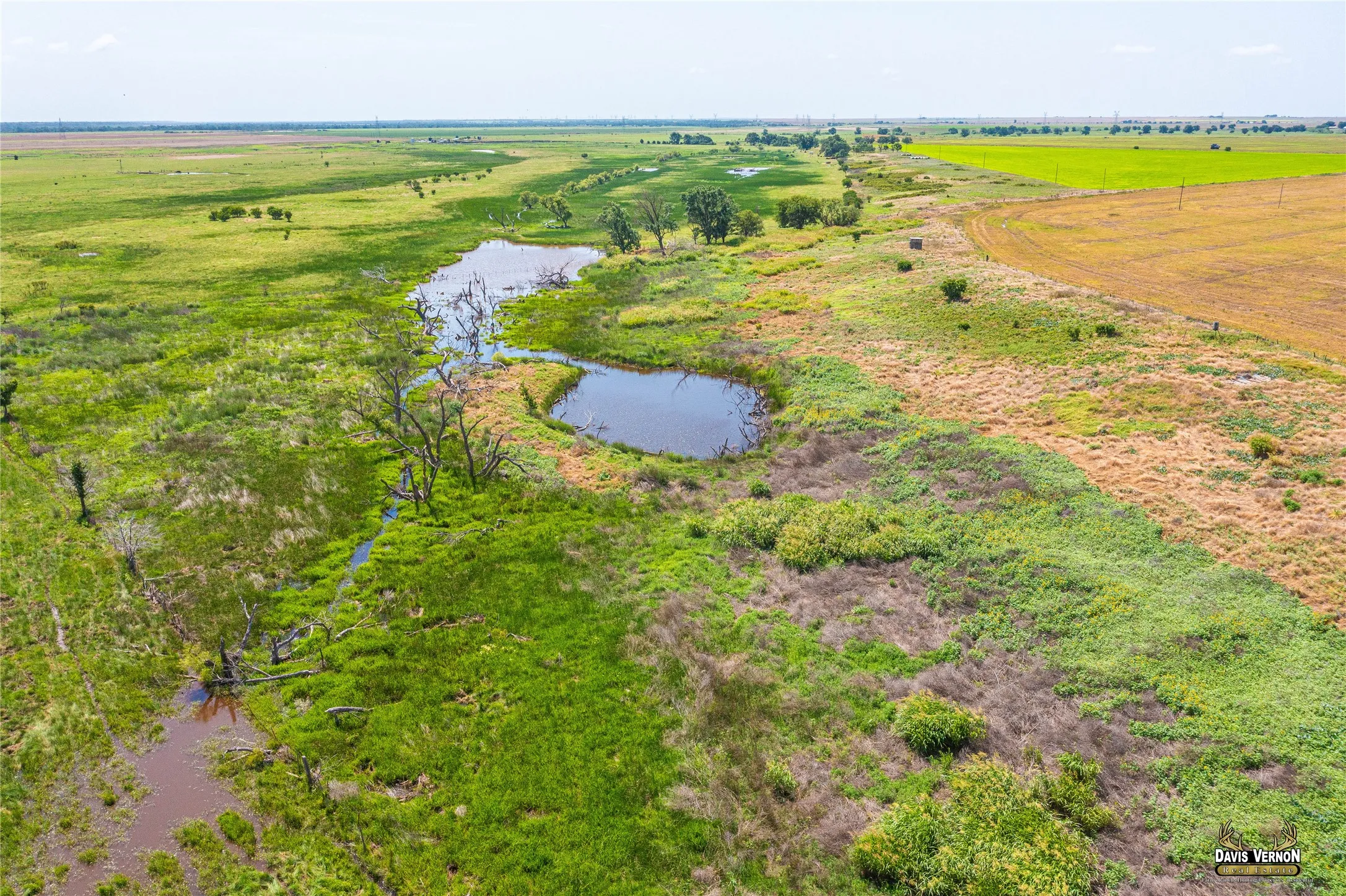 Ranch For Sale in Wilbarger County , 9844 County Road 131 N, Harrold, Texas 76364, 0, 0, Garage spaces, 0 Sqft, built in 0, Price $512,000, mls#21184067, Real Estate Agent in Harrold, Homes For Sale in Wilbarger county, Homes For Sale in Harrold, Realtor in Harrold Texas, Real Estate Brokerage Independent Realty Texas, Luminita Cordes Realtor