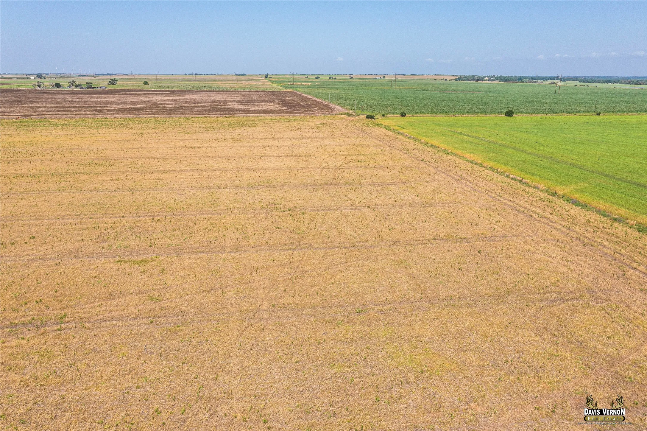 Ranch For Sale in Wilbarger County , 9844 County Road 131 N, Harrold, Texas 76364, 0, 0, Garage spaces, 0 Sqft, built in 0, Price $512,000, mls#21184067, Real Estate Agent in Harrold, Homes For Sale in Wilbarger county, Homes For Sale in Harrold, Realtor in Harrold Texas, Real Estate Brokerage Independent Realty Texas, Luminita Cordes Realtor