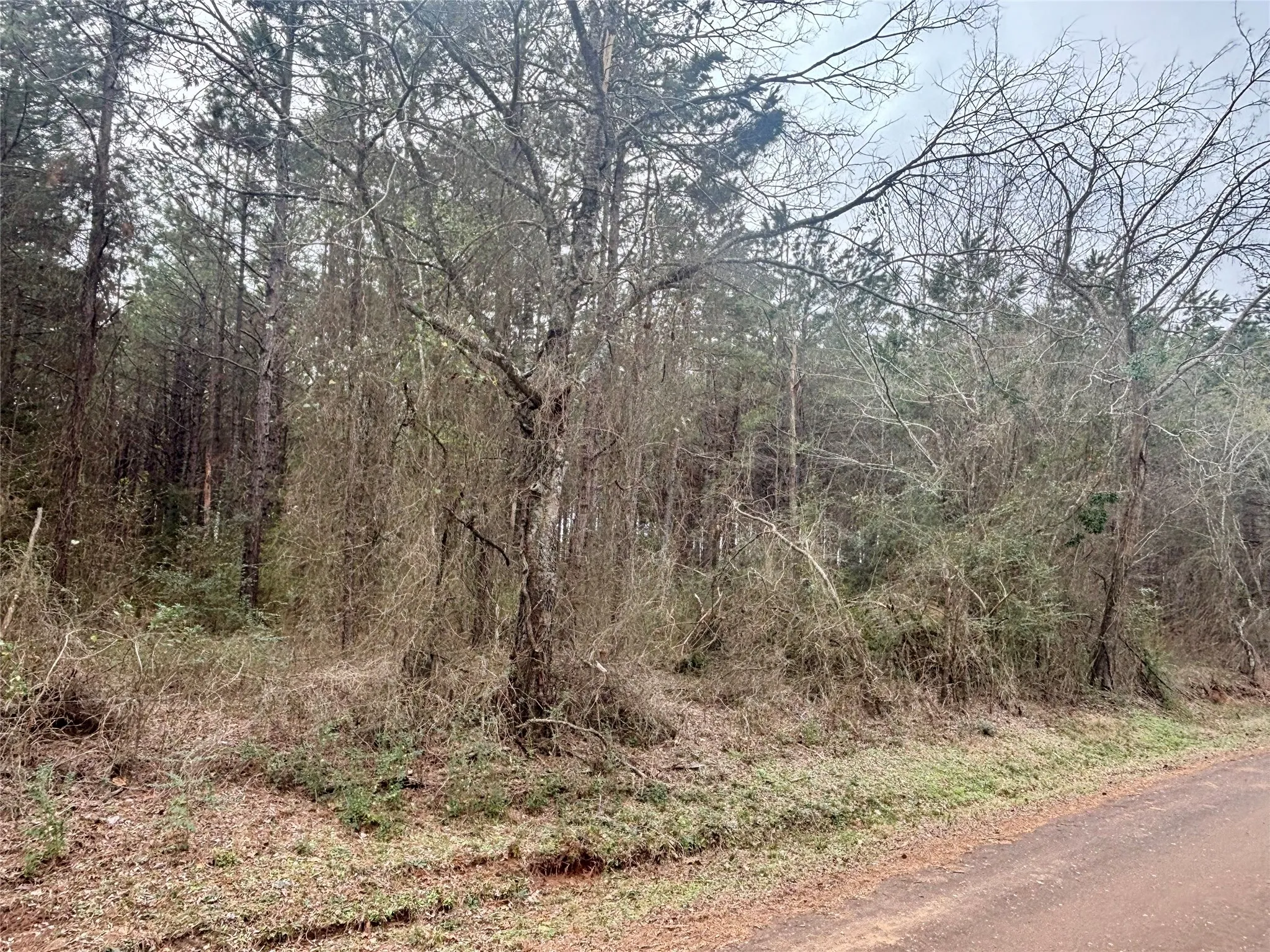 Unimproved Land For Sale in Rusk County , 4451 County Road 3206 W, Mount Enterprise, Texas 75681, 0, 0, Garage spaces, 0 Sqft, built in 0, mls#21183746, Real Estate Agent in Mount Enterprise, Homes For Sale in Rusk county, Homes For Sale in Mount Enterprise, Realtor in Mount Enterprise Texas, Real Estate Brokerage Independent Realty Texas, Luminita Cordes Realtor