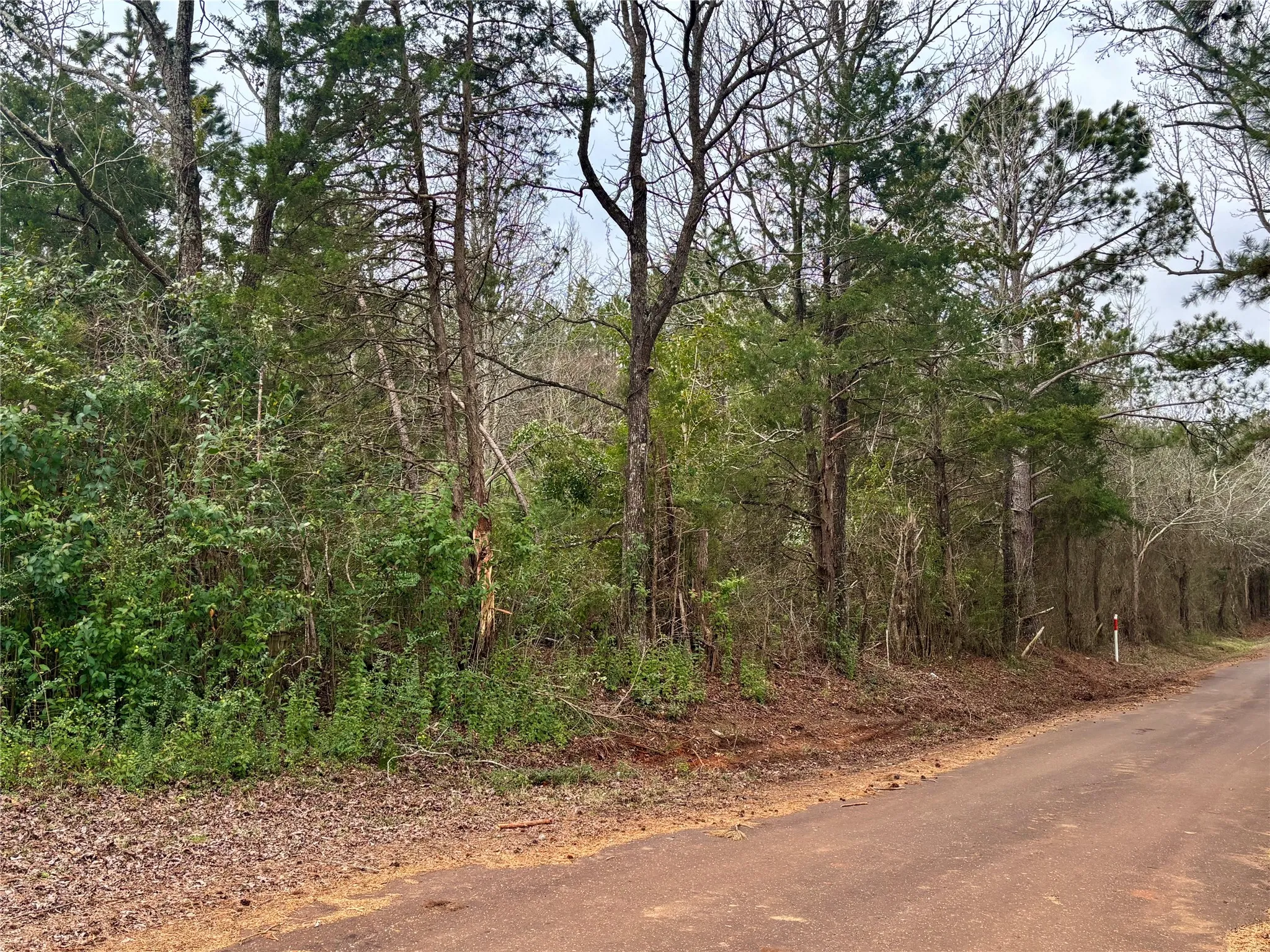Unimproved Land For Sale in Rusk County , 4451 County Road 3206 W, Mount Enterprise, Texas 75681, 0, 0, Garage spaces, 0 Sqft, built in 0, mls#21183746, Real Estate Agent in Mount Enterprise, Homes For Sale in Rusk county, Homes For Sale in Mount Enterprise, Realtor in Mount Enterprise Texas, Real Estate Brokerage Independent Realty Texas, Luminita Cordes Realtor