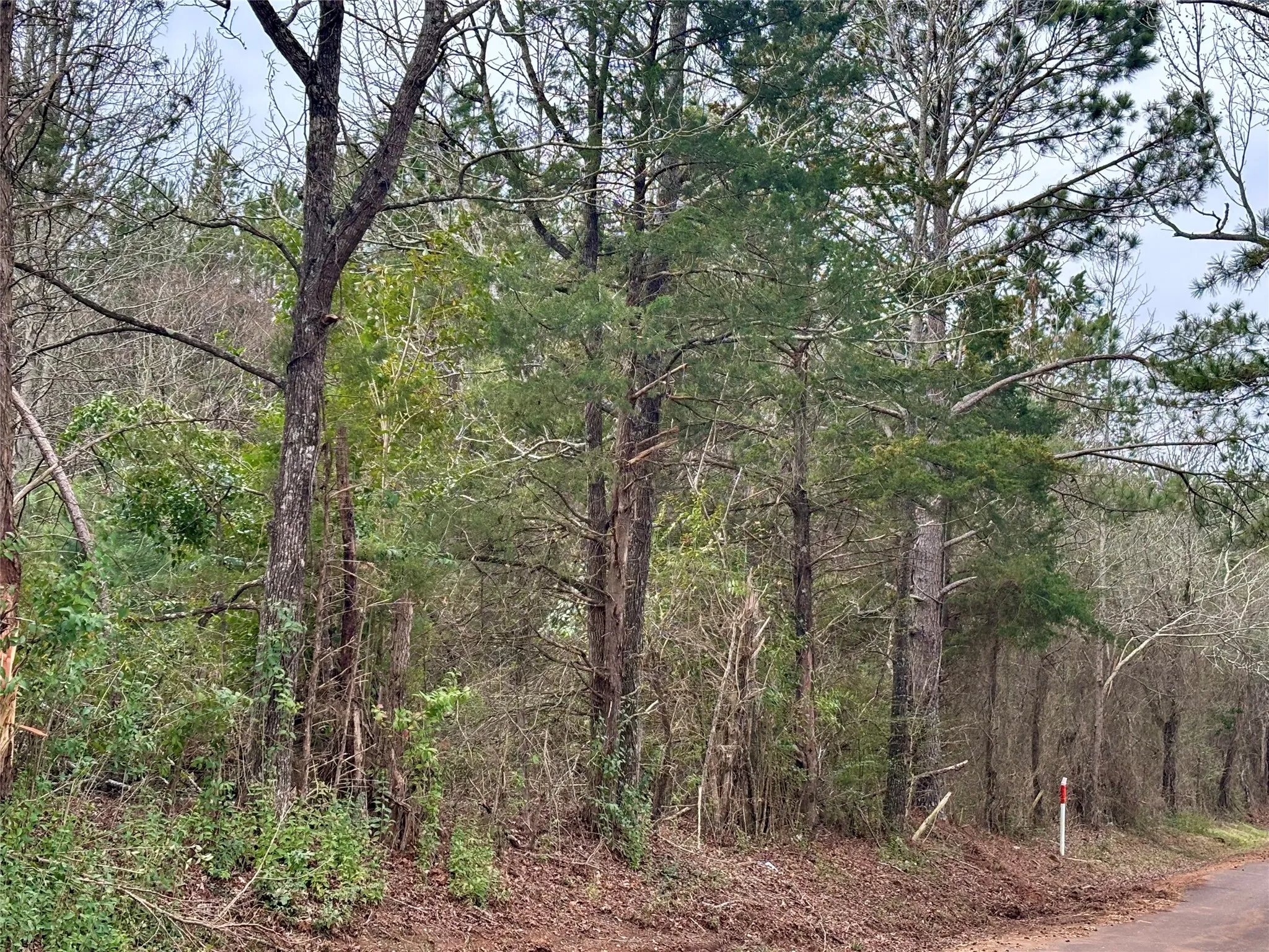 Unimproved Land For Sale in Rusk County , 4451 County Road 3206 W, Mount Enterprise, Texas 75681, 0, 0, Garage spaces, 0 Sqft, built in 0, mls#21183746, Real Estate Agent in Mount Enterprise, Homes For Sale in Rusk county, Homes For Sale in Mount Enterprise, Realtor in Mount Enterprise Texas, Real Estate Brokerage Independent Realty Texas, Luminita Cordes Realtor