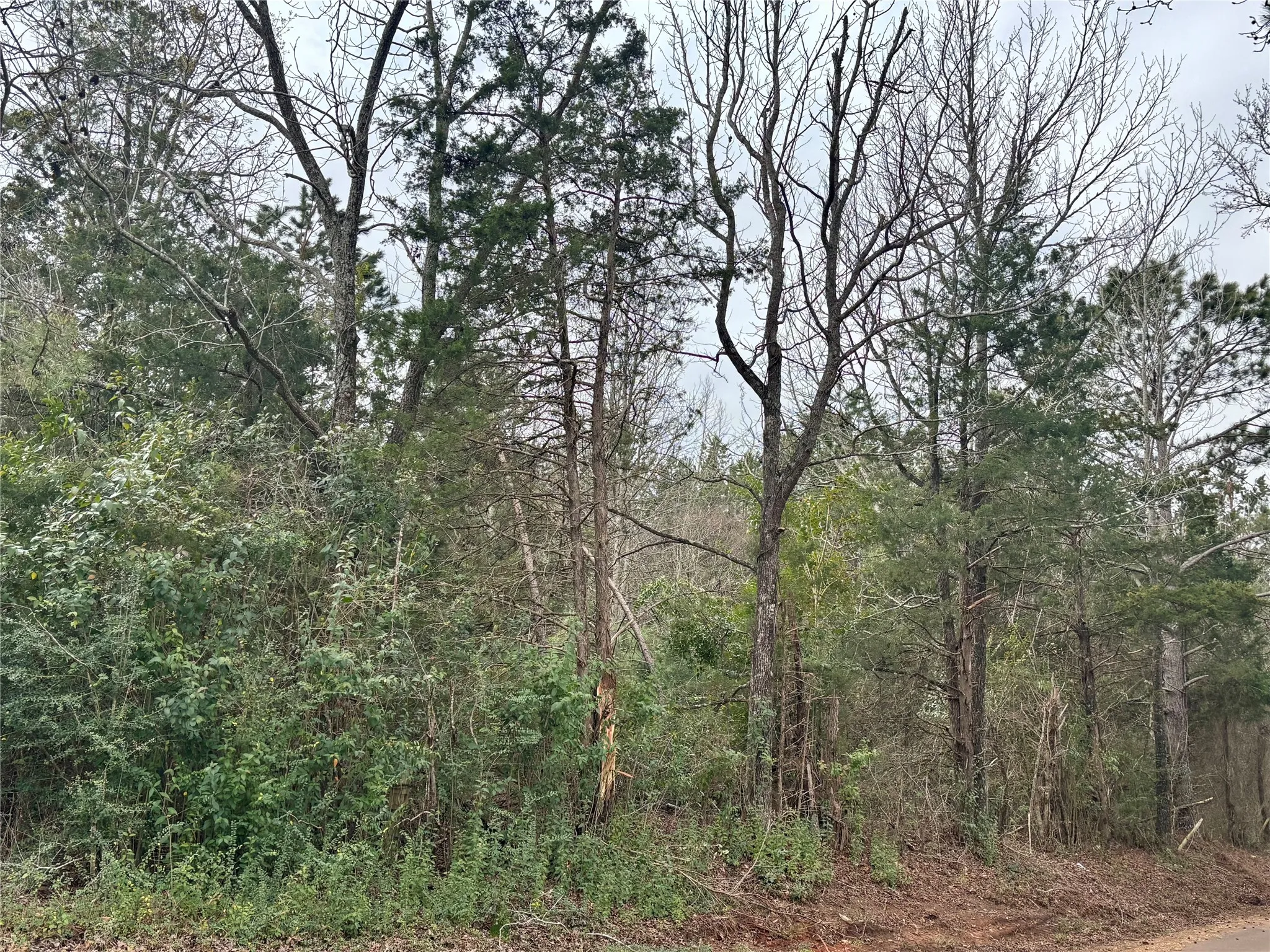 Unimproved Land For Sale in Rusk County , 4451 County Road 3206 W, Mount Enterprise, Texas 75681, 0, 0, Garage spaces, 0 Sqft, built in 0, mls#21183746, Real Estate Agent in Mount Enterprise, Homes For Sale in Rusk county, Homes For Sale in Mount Enterprise, Realtor in Mount Enterprise Texas, Real Estate Brokerage Independent Realty Texas, Luminita Cordes Realtor