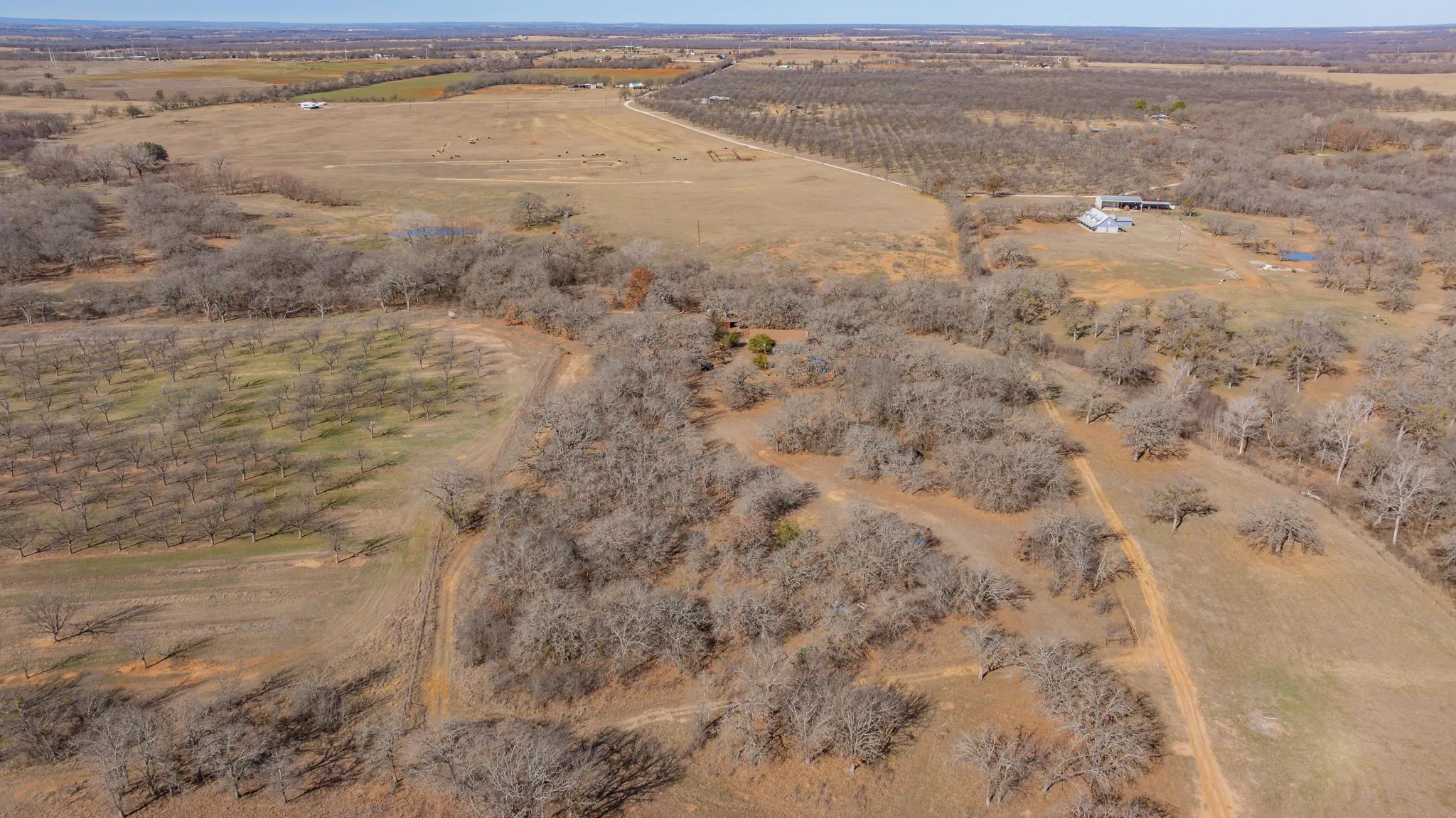 Single Family Residence For Sale in Comanche County , 650 County Road 426, De Leon, Texas 76444, 3 Bedroom, 1 Bathroom, Garage spaces, 2,275 Sqft, built in 1986, mls#21181418, Real Estate Agent in De Leon, Homes For Sale in Comanche county, Homes For Sale in De Leon, Realtor in De Leon Texas, Real Estate Brokerage Independent Realty Texas, Luminita Cordes Realtor