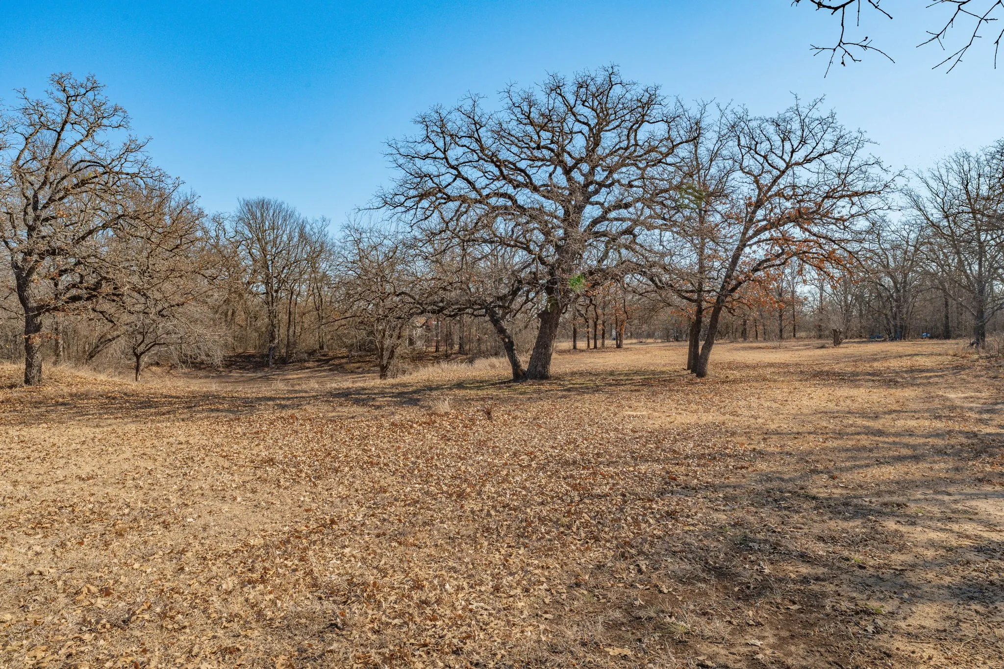 Single Family Residence For Sale in Comanche County , 650 County Road 426, De Leon, Texas 76444, 3 Bedroom, 1 Bathroom, Garage spaces, 2,275 Sqft, built in 1986, mls#21181418, Real Estate Agent in De Leon, Homes For Sale in Comanche county, Homes For Sale in De Leon, Realtor in De Leon Texas, Real Estate Brokerage Independent Realty Texas, Luminita Cordes Realtor