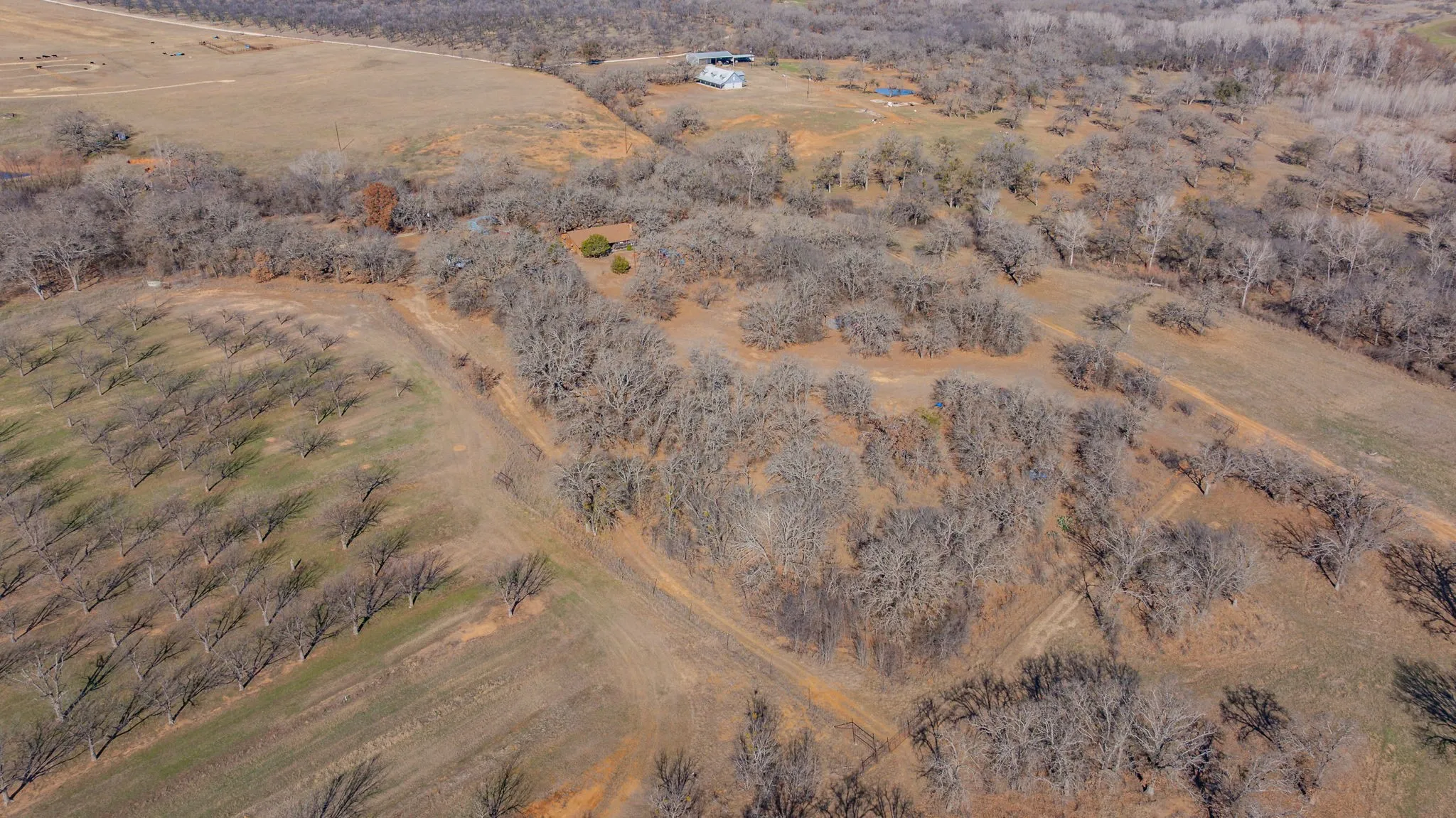 Single Family Residence For Sale in Comanche County , 650 County Road 426, De Leon, Texas 76444, 3 Bedroom, 1 Bathroom, Garage spaces, 2,275 Sqft, built in 1986, mls#21181418, Real Estate Agent in De Leon, Homes For Sale in Comanche county, Homes For Sale in De Leon, Realtor in De Leon Texas, Real Estate Brokerage Independent Realty Texas, Luminita Cordes Realtor