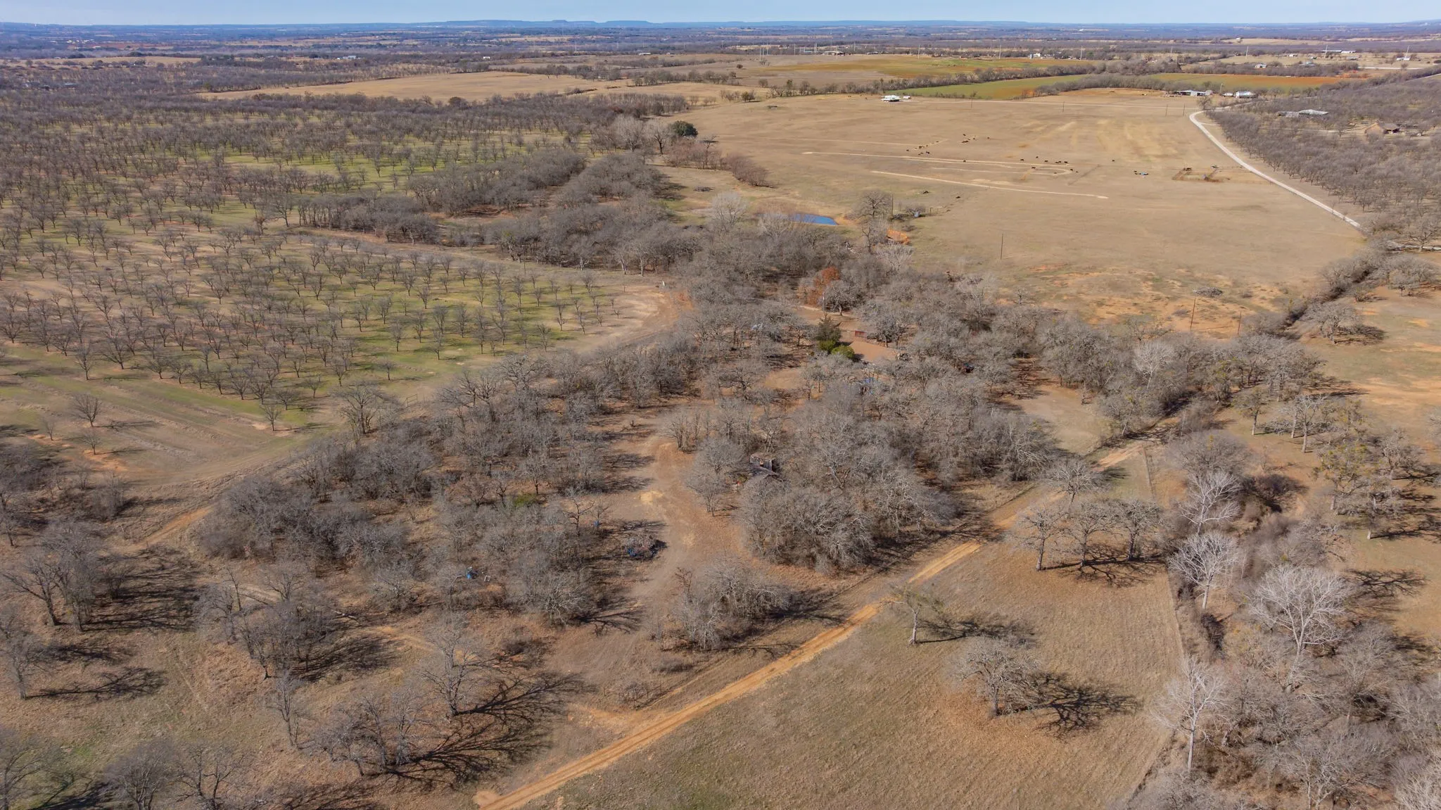 Single Family Residence For Sale in Comanche County , 650 County Road 426, De Leon, Texas 76444, 3 Bedroom, 1 Bathroom, Garage spaces, 2,275 Sqft, built in 1986, mls#21181418, Real Estate Agent in De Leon, Homes For Sale in Comanche county, Homes For Sale in De Leon, Realtor in De Leon Texas, Real Estate Brokerage Independent Realty Texas, Luminita Cordes Realtor