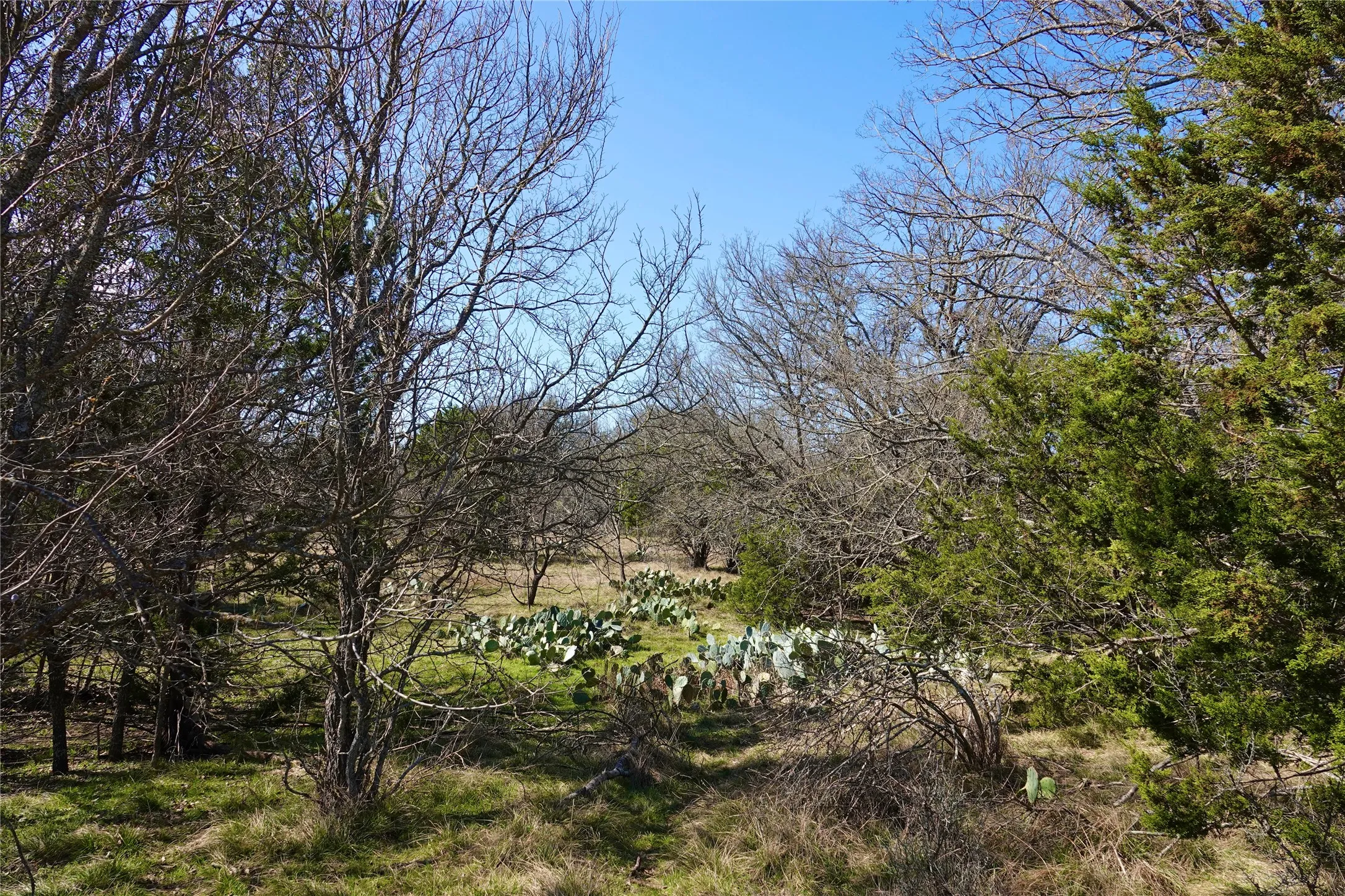 Farm For Sale in Mills County , 981 W Hwy 84, Mullin, Texas 76864, 3 Bedroom, 1 Bathroom, Garage spaces, 2,088 Sqft, built in 1930, mls#21184328, Real Estate Agent in Mullin, Homes For Sale in Mills county, Homes For Sale in Mullin, Realtor in Mullin Texas, Real Estate Brokerage Independent Realty Texas, Luminita Cordes Realtor