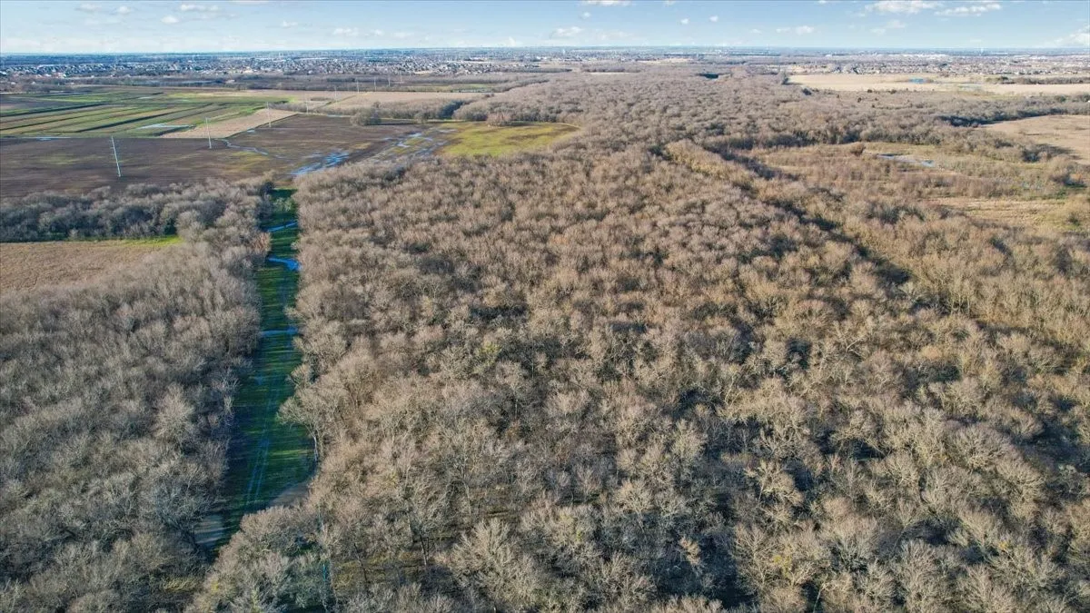 Unimproved Land For Sale in Rockwall County , TBD Crenshaw Road, Royse City, Texas 75189, 0, 0, Garage spaces, 0 Sqft, built in 0, Price $3,699,000, mls#21178257, Real Estate Agent in Royse City, Homes For Sale in Rockwall county, Homes For Sale in Royse City, Realtor in Royse City Texas, Real Estate Brokerage Independent Realty Texas, Luminita Cordes Realtor