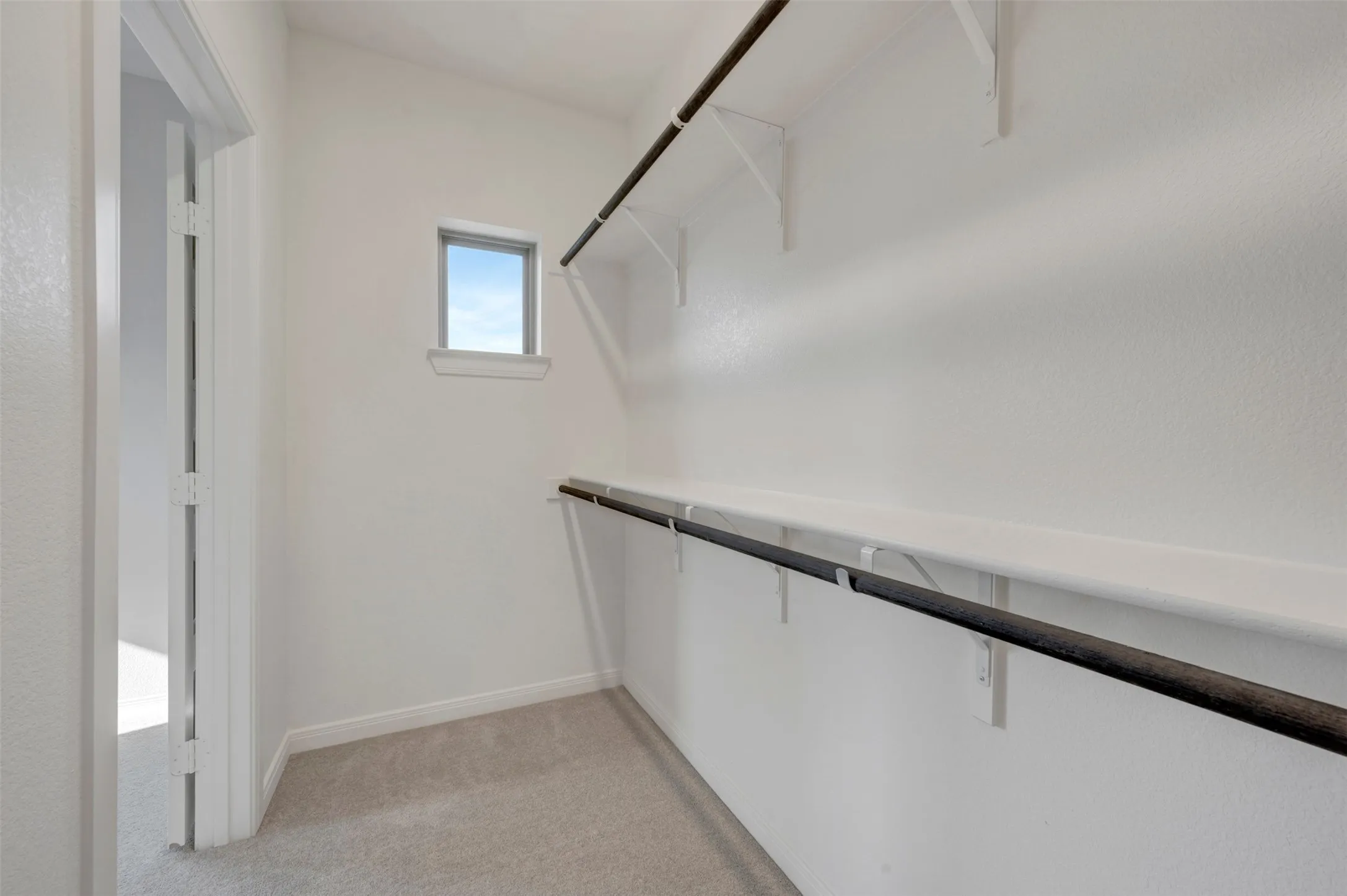 Walk-in closet featuring light-toned carpeting, a window providing natural illumination, multiple white shelving units, and dark-toned clothing rods for organized storage