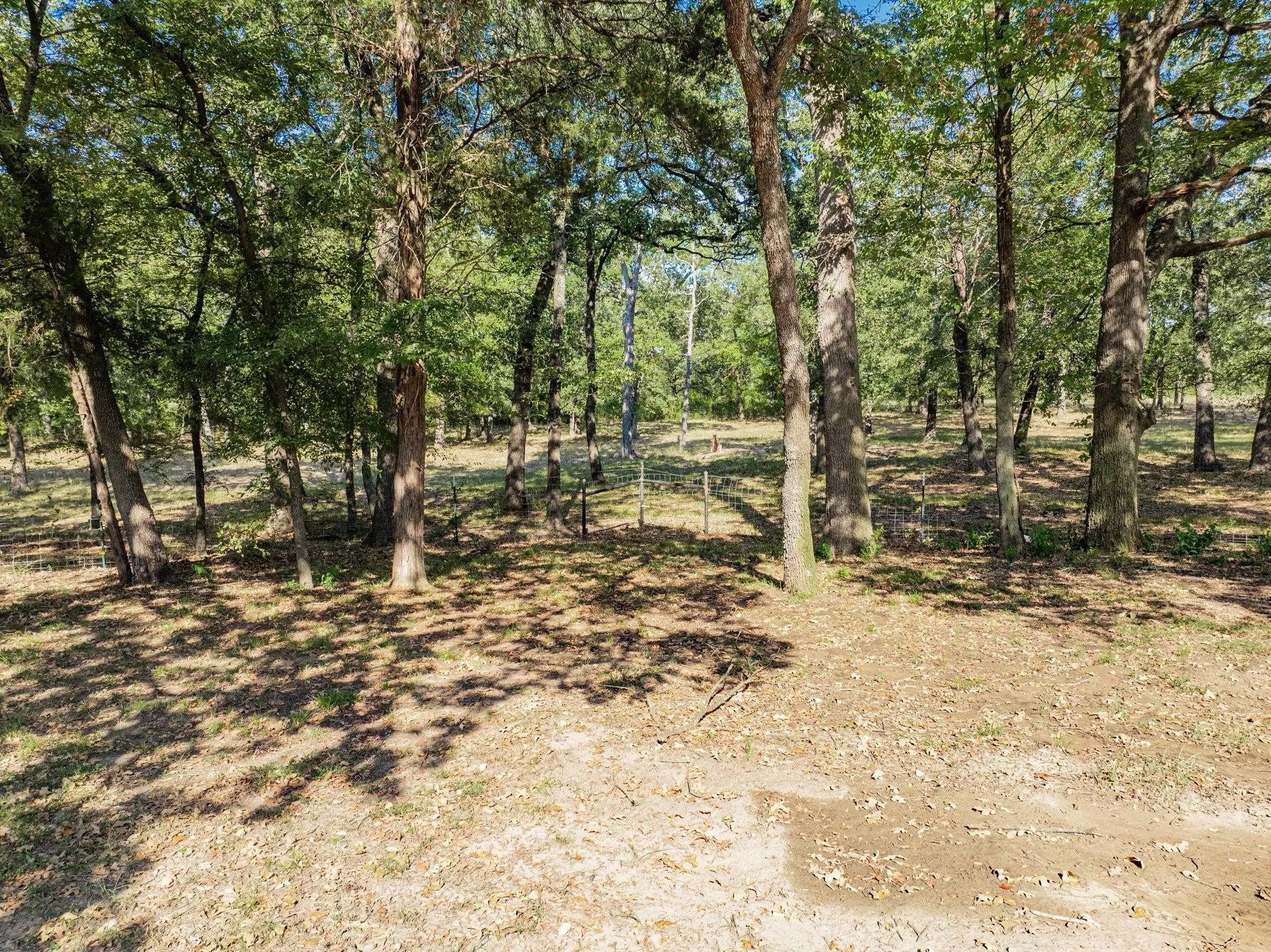 Farm For Sale in Kaufman County , 16043 County Road 339, Terrell, Texas 75161, 4 Bedroom, 3 Bathroom, Garage spaces, 2,900 Sqft, built in 2011, Preowned, mls#21184659, Real Estate Agent in Terrell, Homes For Sale in Kaufman county, Homes For Sale in Terrell, Realtor in Terrell Texas, Real Estate Brokerage Independent Realty Texas, Luminita Cordes Realtor