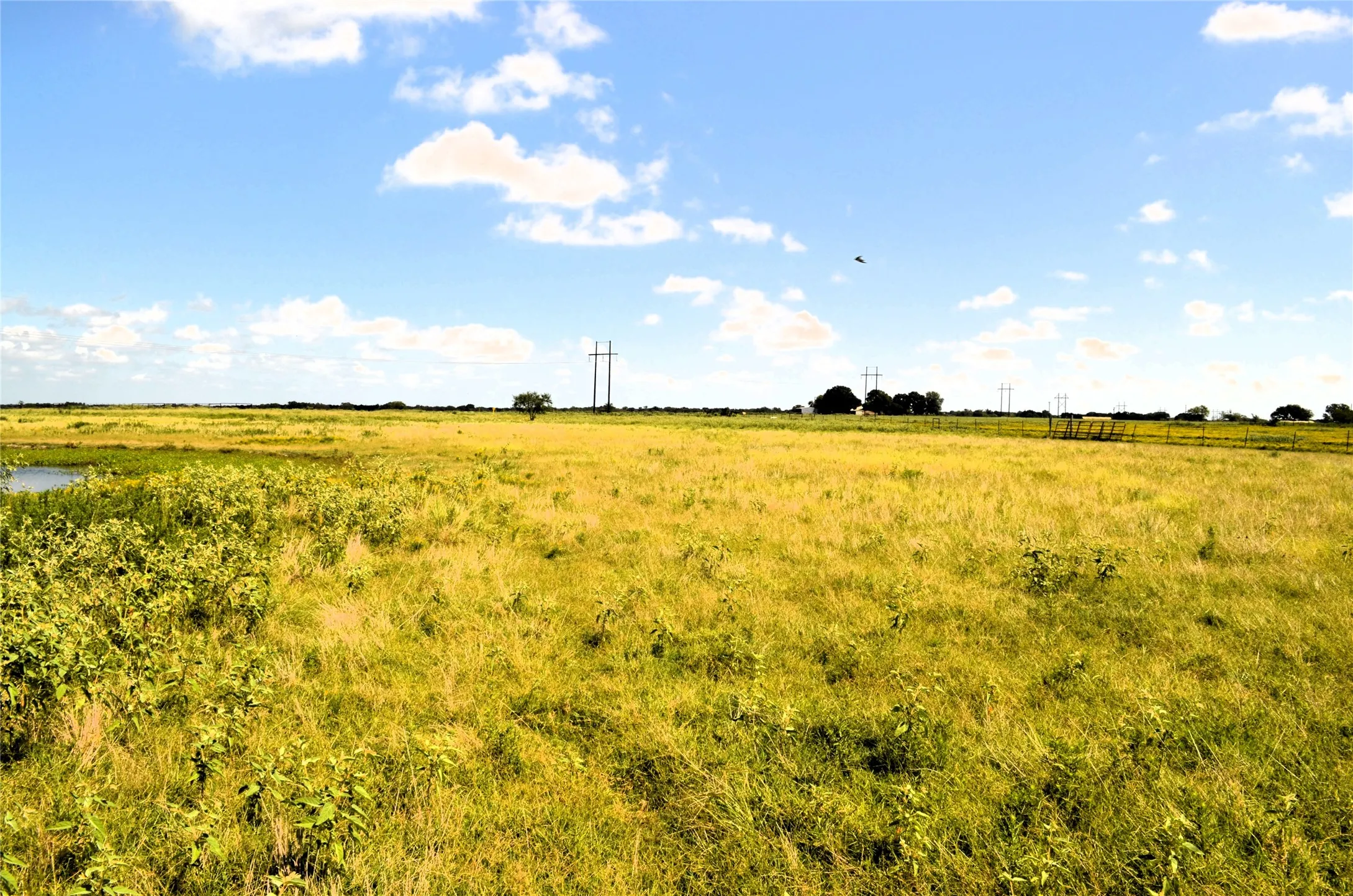 Unimproved Land For Sale in Kaufman County , 000 Tarlton Road, Mabank, Texas 75147, 0, 0, Garage spaces, 0 Sqft, built in 0, mls#21184876, Real Estate Agent in Mabank, Homes For Sale in Kaufman county, Homes For Sale in Mabank, Realtor in Mabank Texas, Real Estate Brokerage Independent Realty Texas, Luminita Cordes Realtor