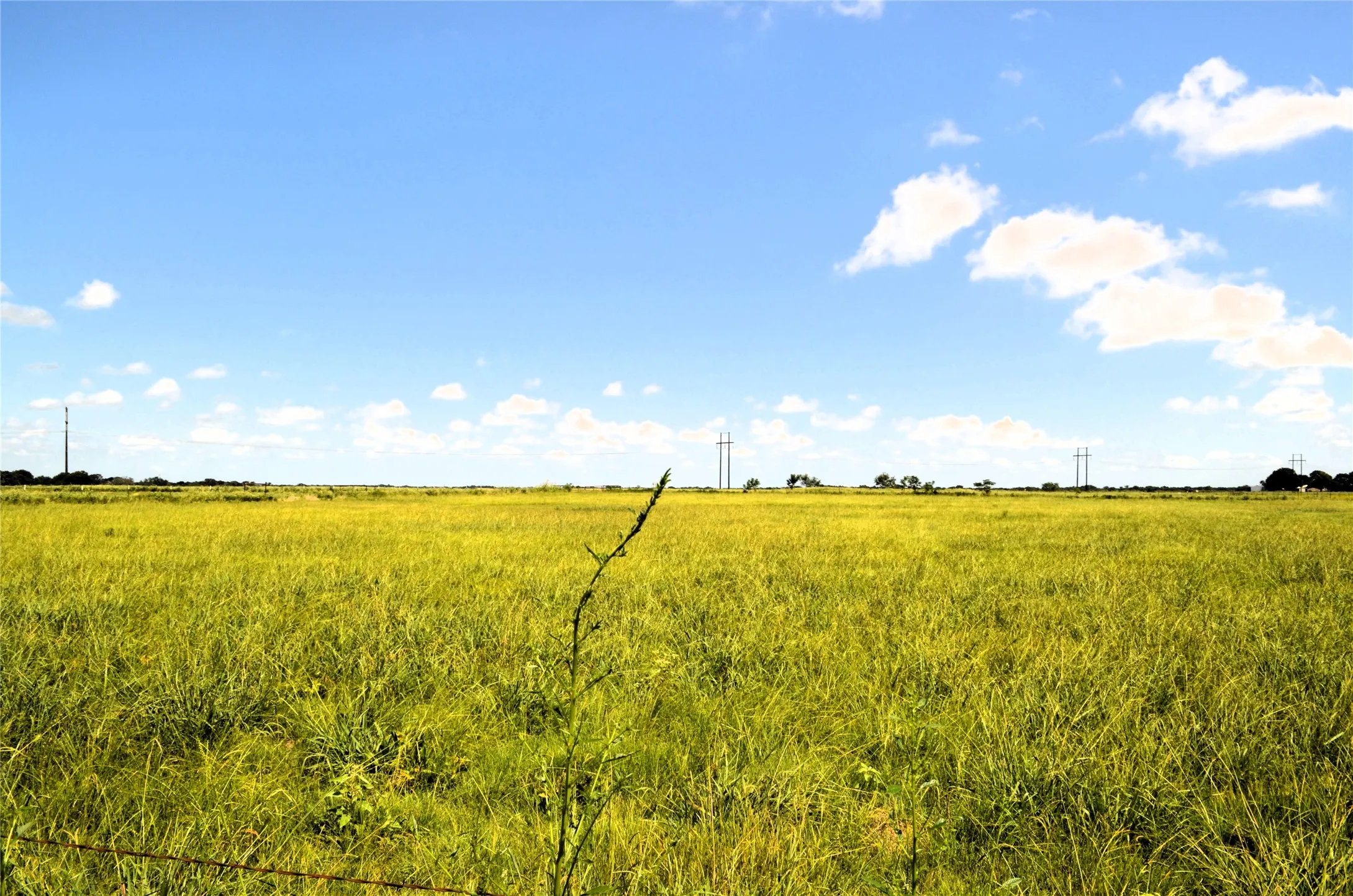 Unimproved Land For Sale in Kaufman County , 000 Tarlton Road, Mabank, Texas 75147, 0, 0, Garage spaces, 0 Sqft, built in 0, mls#21184876, Real Estate Agent in Mabank, Homes For Sale in Kaufman county, Homes For Sale in Mabank, Realtor in Mabank Texas, Real Estate Brokerage Independent Realty Texas, Luminita Cordes Realtor